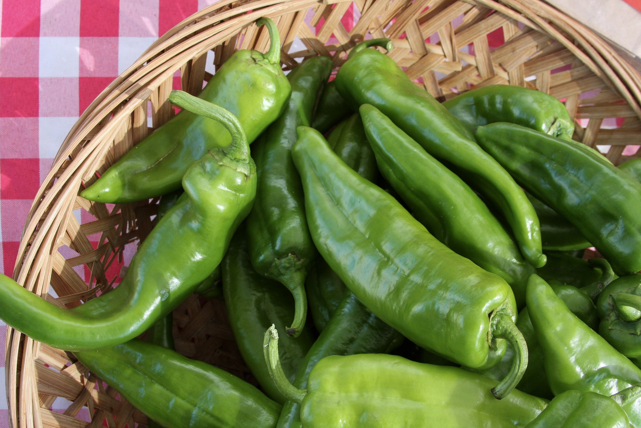TFM_bell-b5farms_peppers5207.jpeg