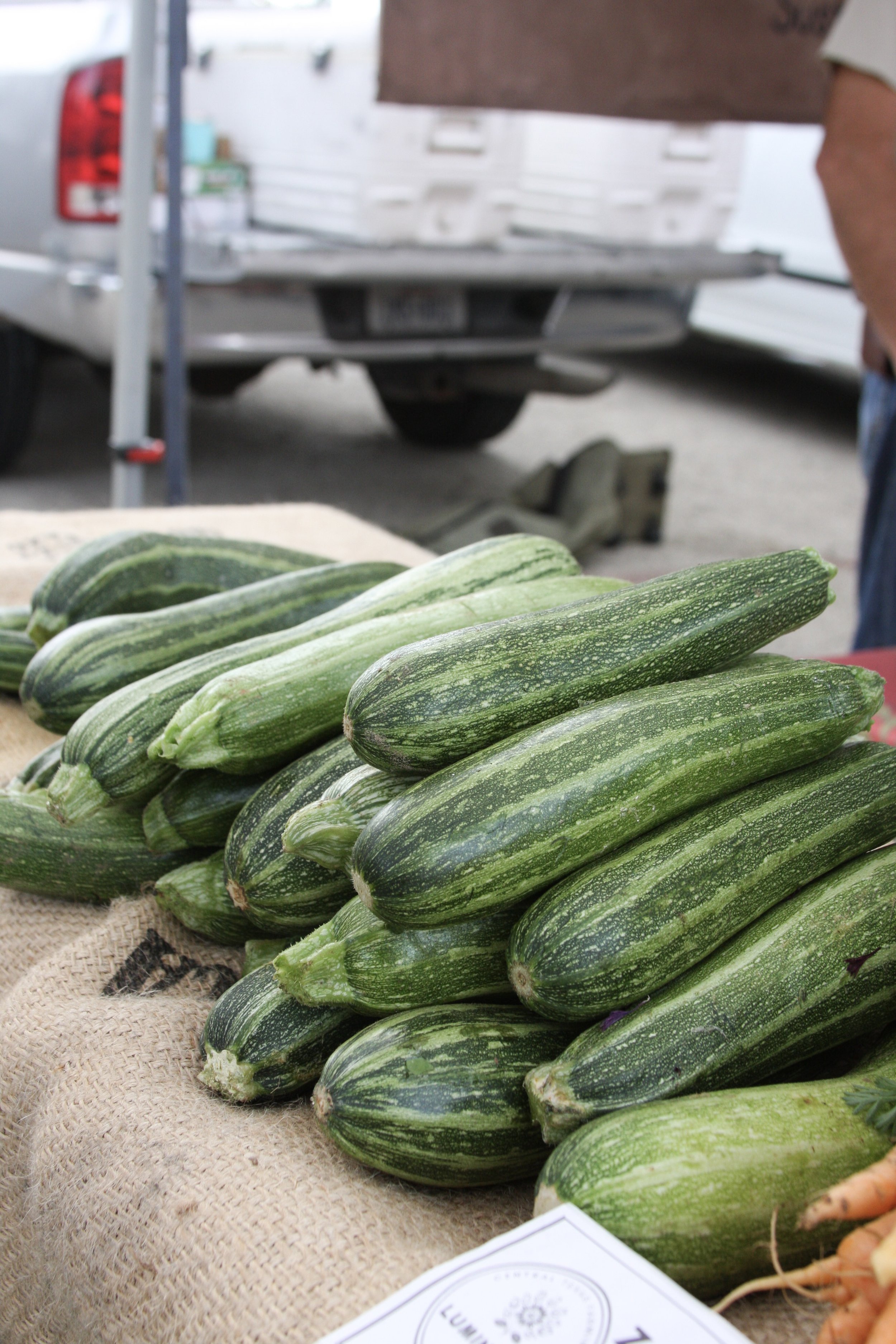 TFM_bell-april_luminaria-zucchini4662.jpeg