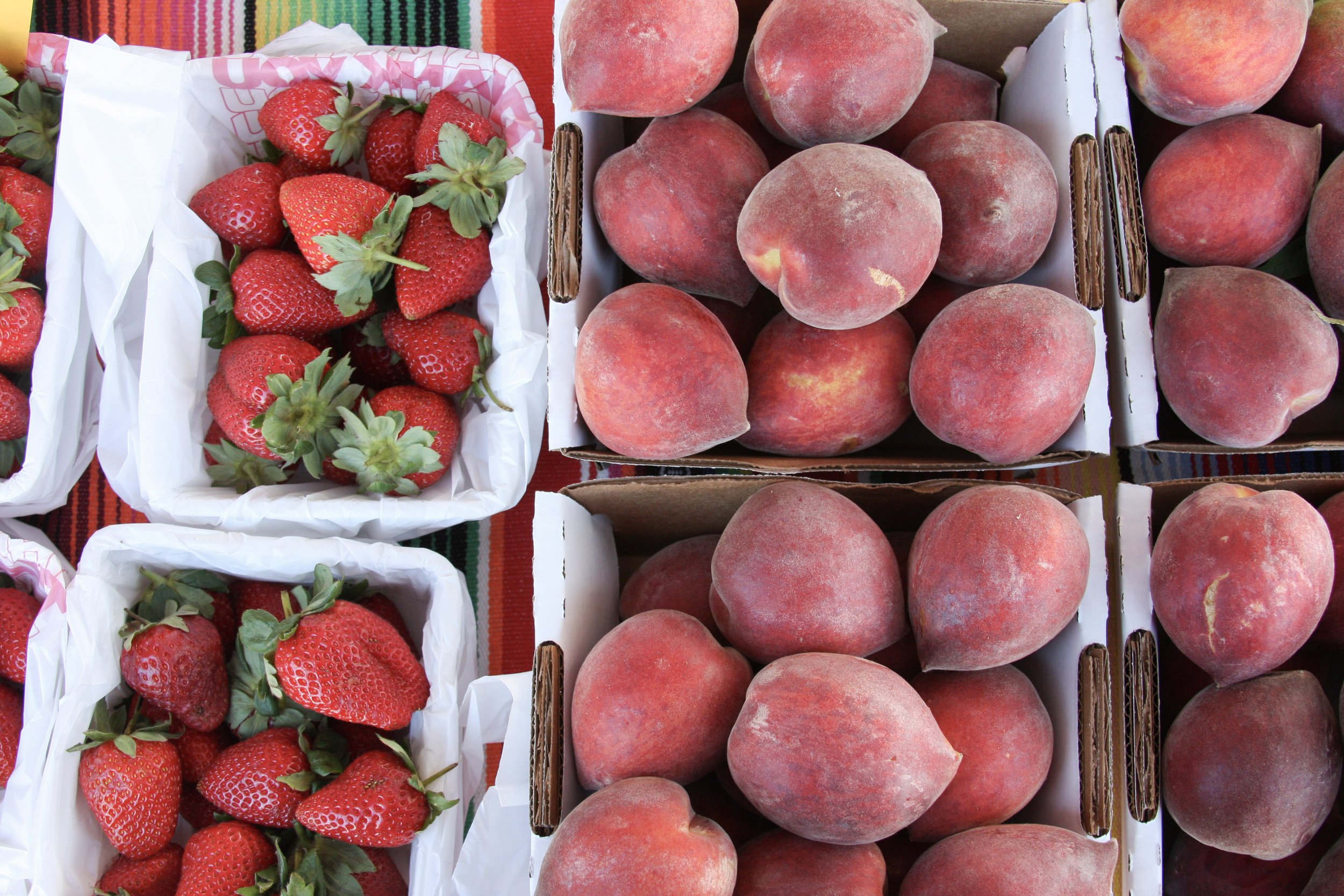 TFM_May-bell_engel_peaches-strawberries4745.jpeg