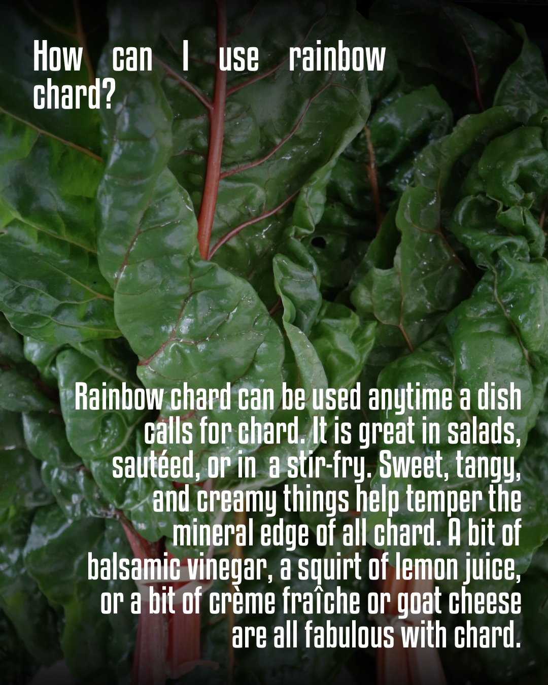 Veggie Spotlight - 3.jpeg