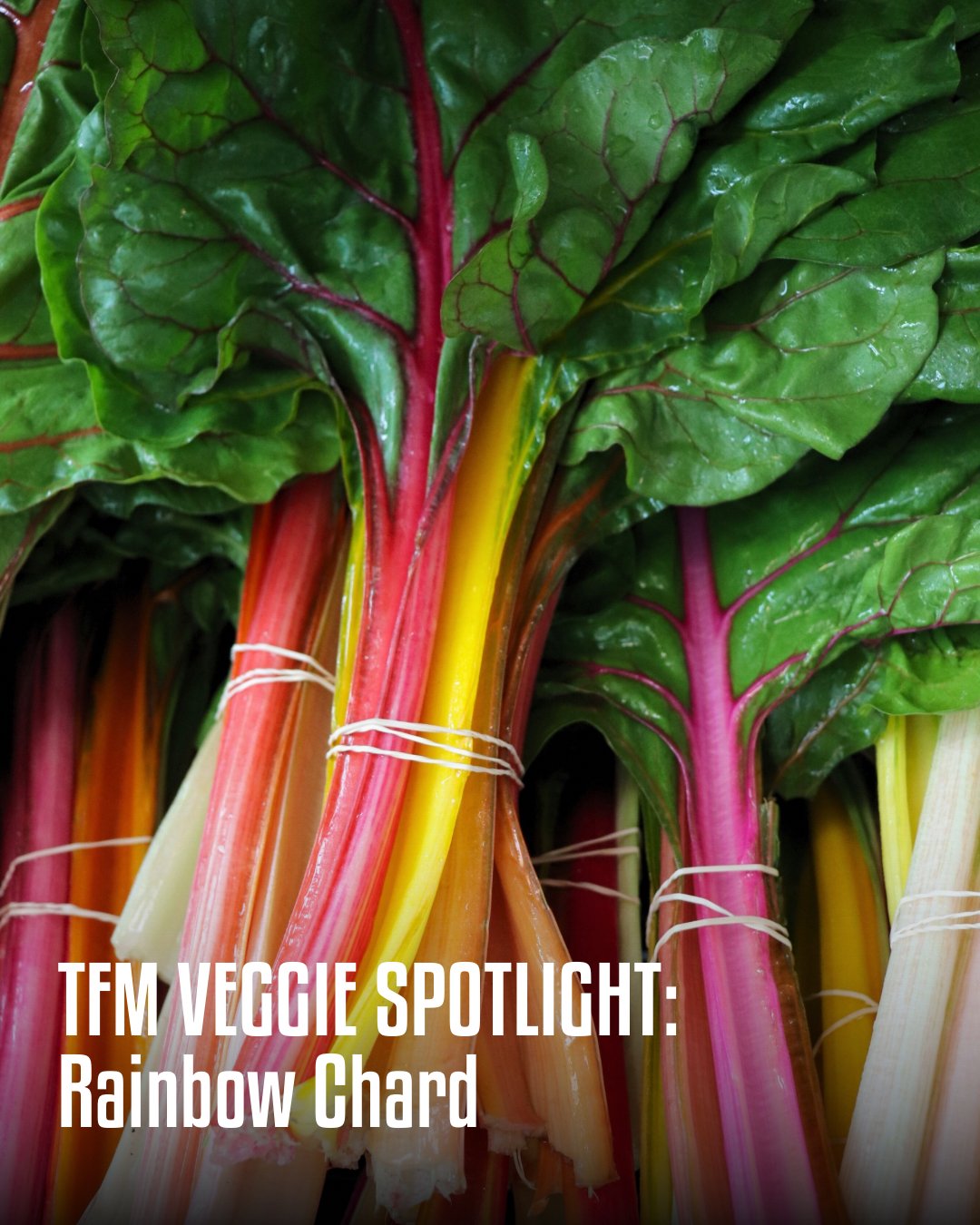 Veggie Spotlight - 1.jpeg