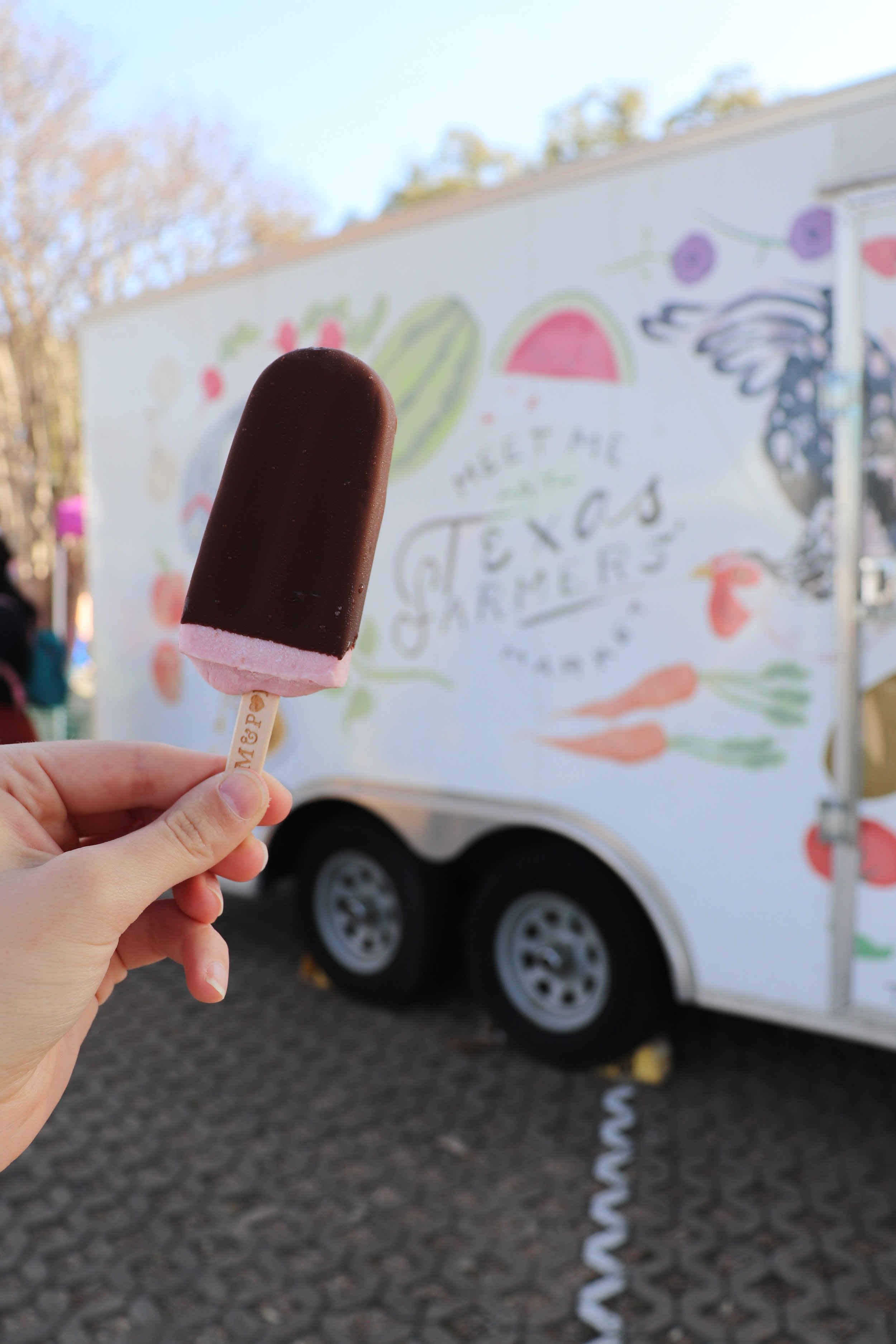 TFM_feb8_momandpops_chocolatecoveredstrawberrypopcicle.jpeg