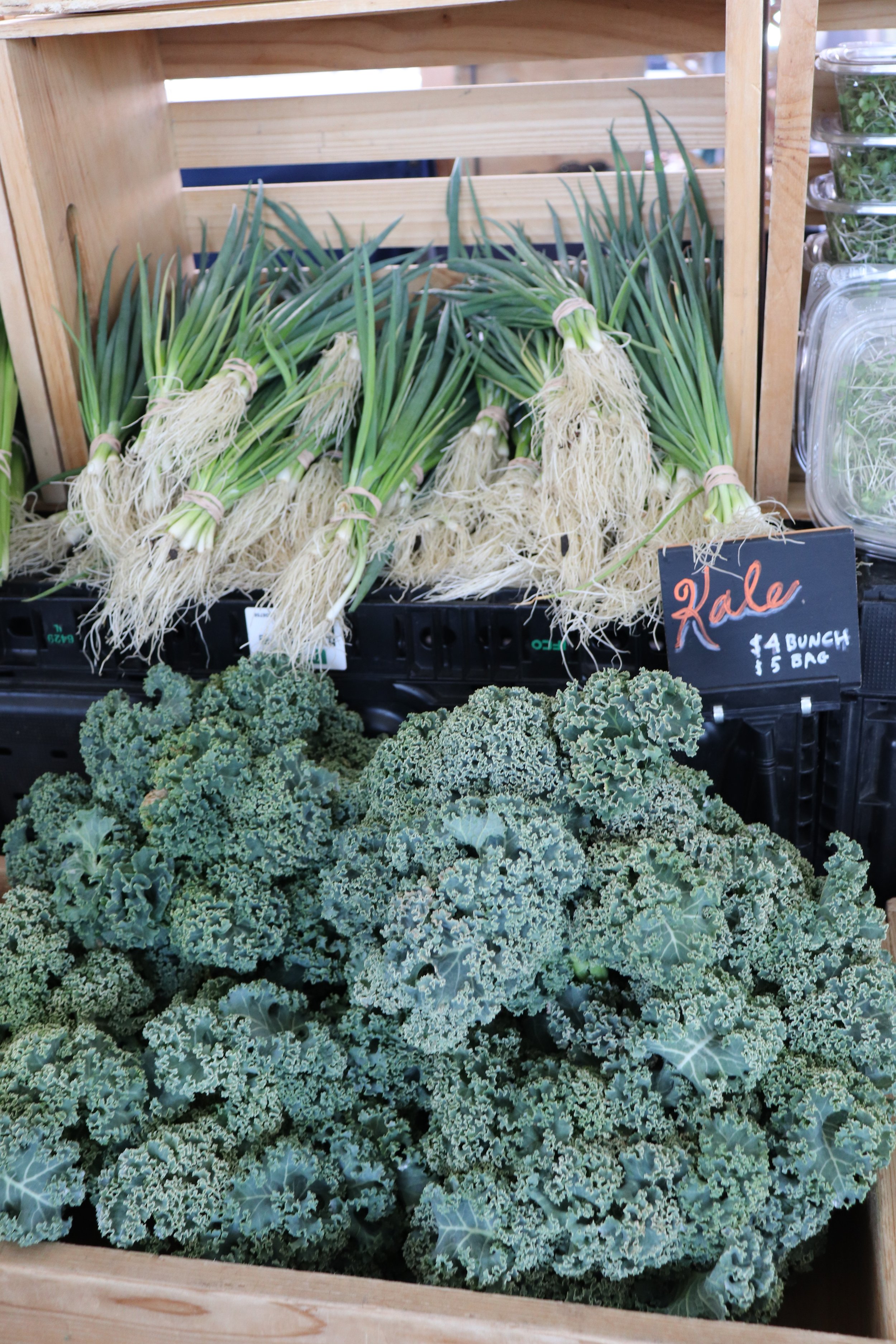 Mar2_bouldinfoodforest_kaleandgreenonions.jpeg