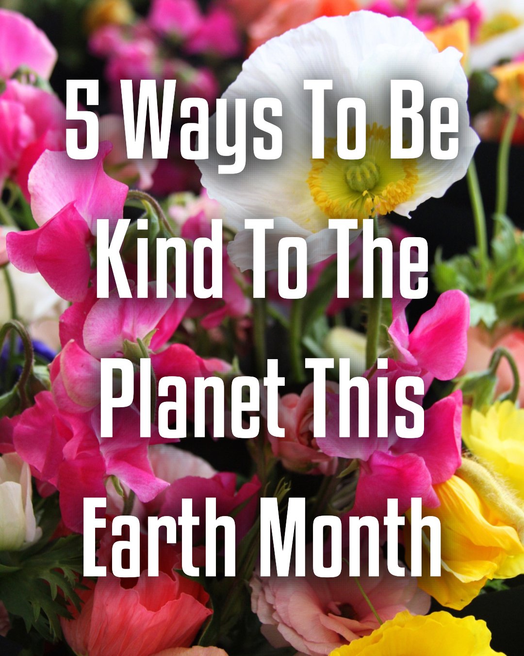 Earth month tips - 1.jpeg