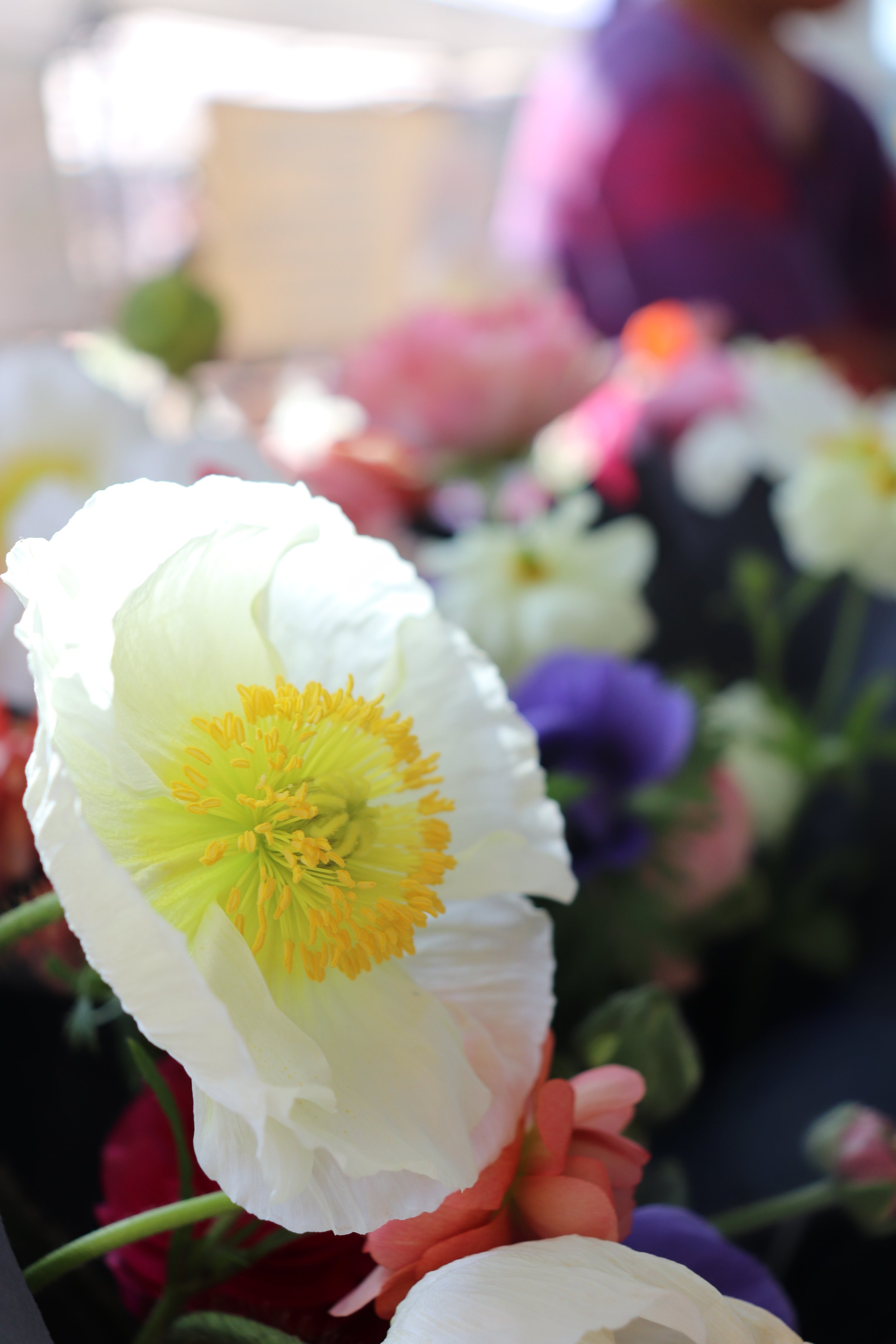 Mar2_petalsink_whiteflower.jpeg