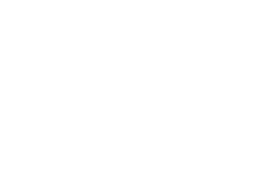logo-white-dispatch.png