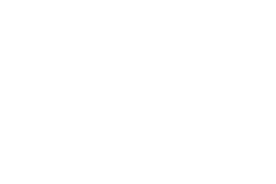 logo-white-chewse.png