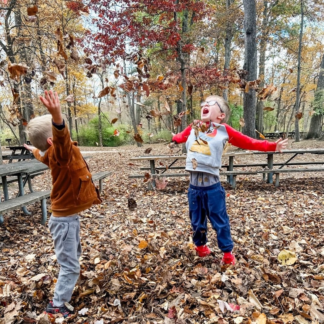 ππ Autumn Joy! ππ
We hope all our visitors have been soaking up  the beauty of the season in Jim Thorpe - nature has put on quite a show this Fall π» 
#autumn #camping #glamping #cabins #kids #nature #jimthorpe #pennsylvania #poconomtns #pocono