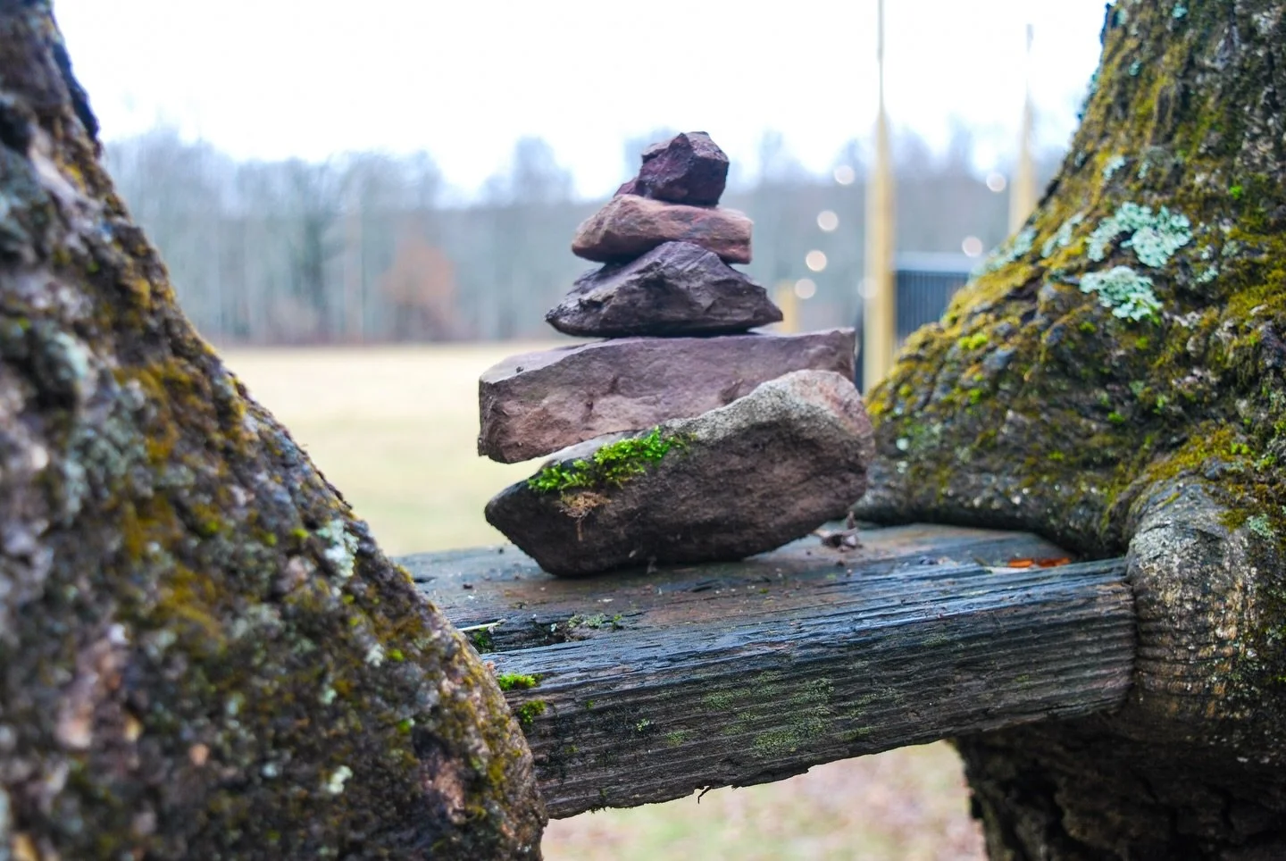 Mini moment of zen left behind by a recent camper 🧘🏻&zwj;♀️

#camping #glamping #poconomtns #poconomountains #poconotourism