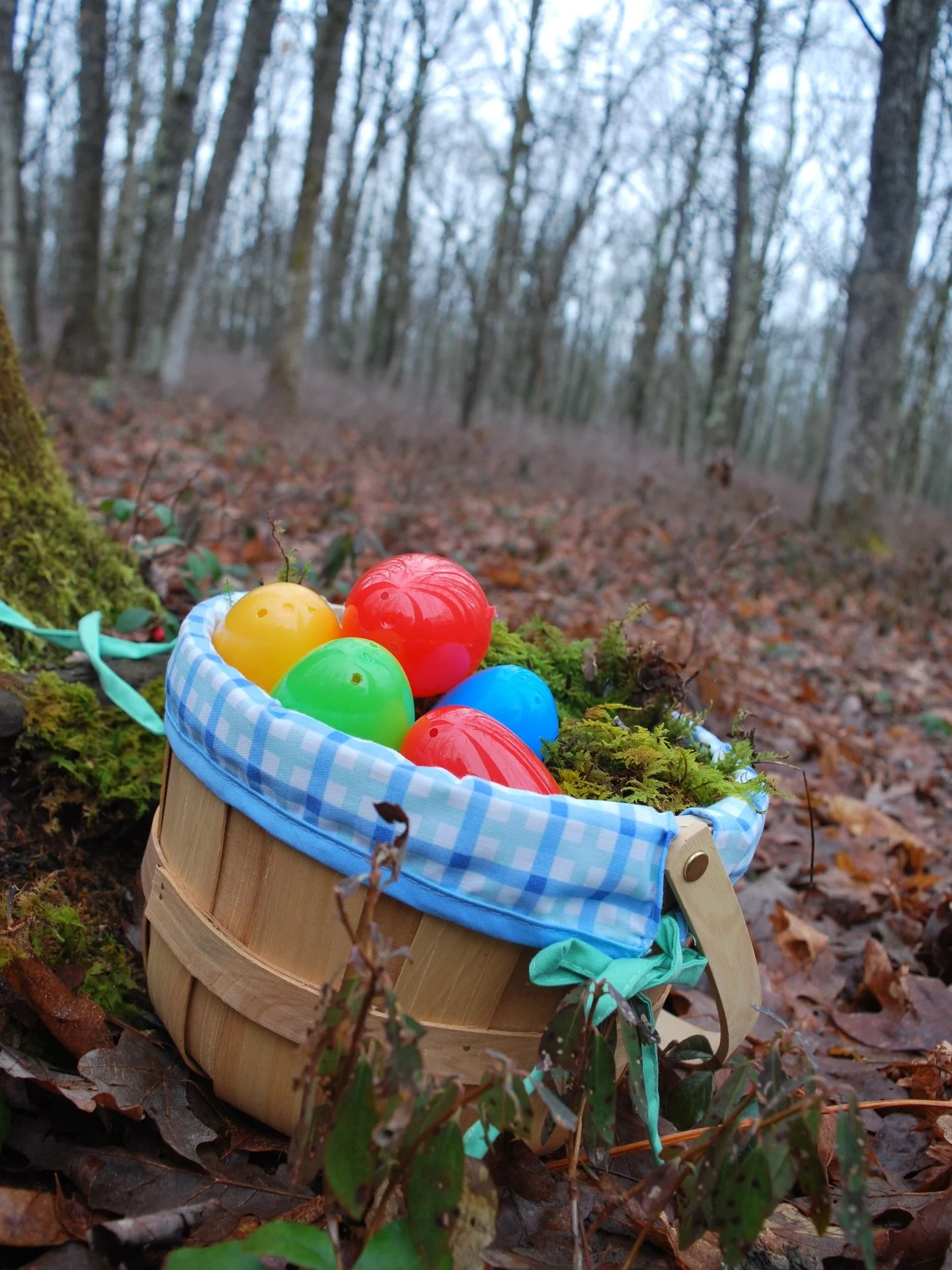 The Easter Bunny knew where to find us! Wishing all who celebrate a day full of sweet treats, fresh air, and good company. Happy Easter! 🐣🌲💕