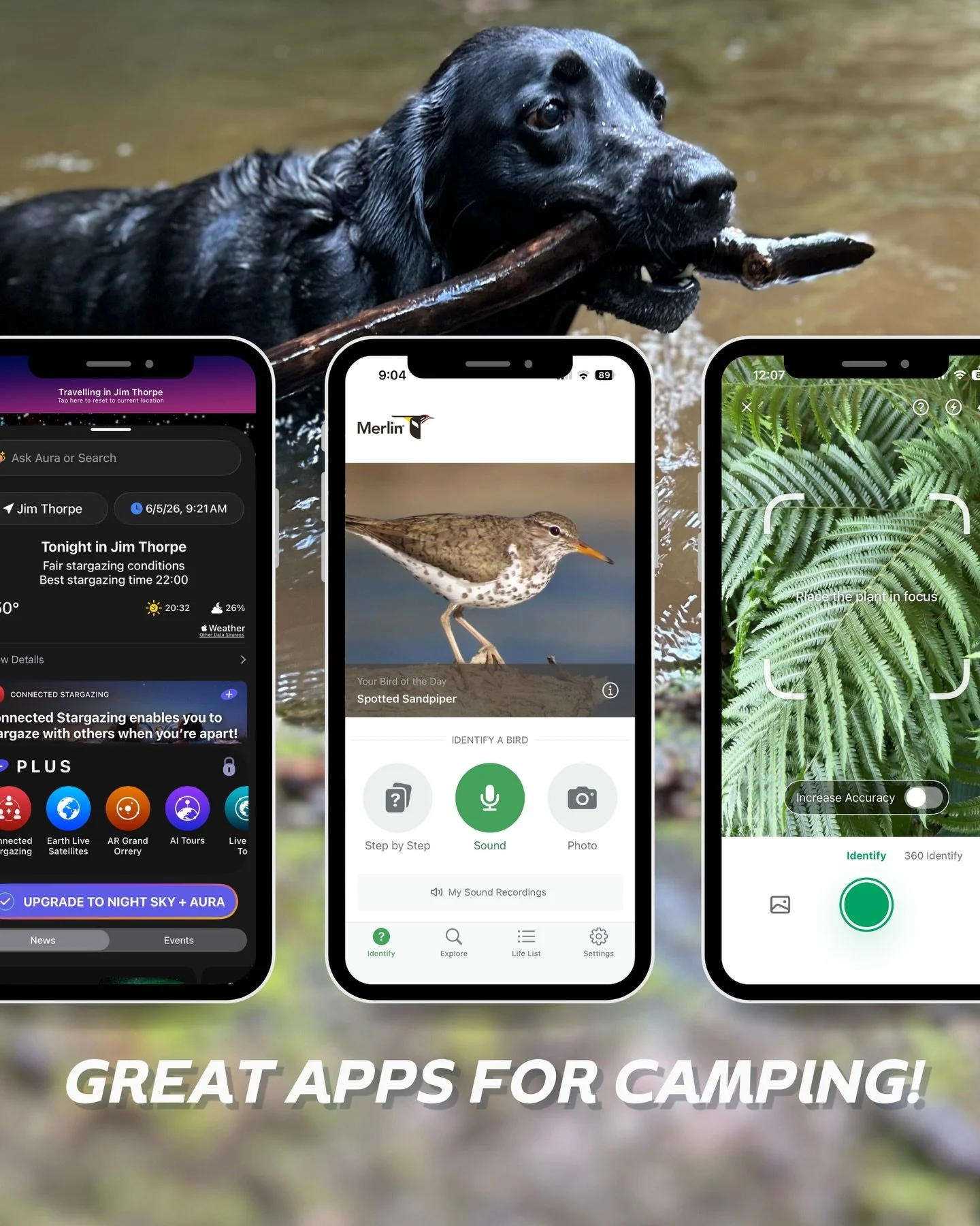 Unplugging is a whole camping vibe, and we fully support a digital detox...but what if your phone could actually help you be *more* present in nature? Here are a few app examples to make the most of your time outdoors...

@merlin.bird.id : Put a face