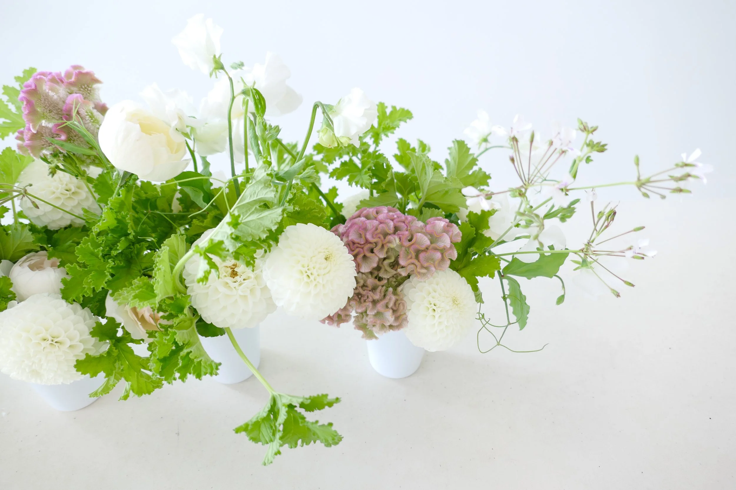 Shriners Children‘s flower sale fundraiser by Polly Flowers featuring rose scented geranium, coxcomb and dahlias