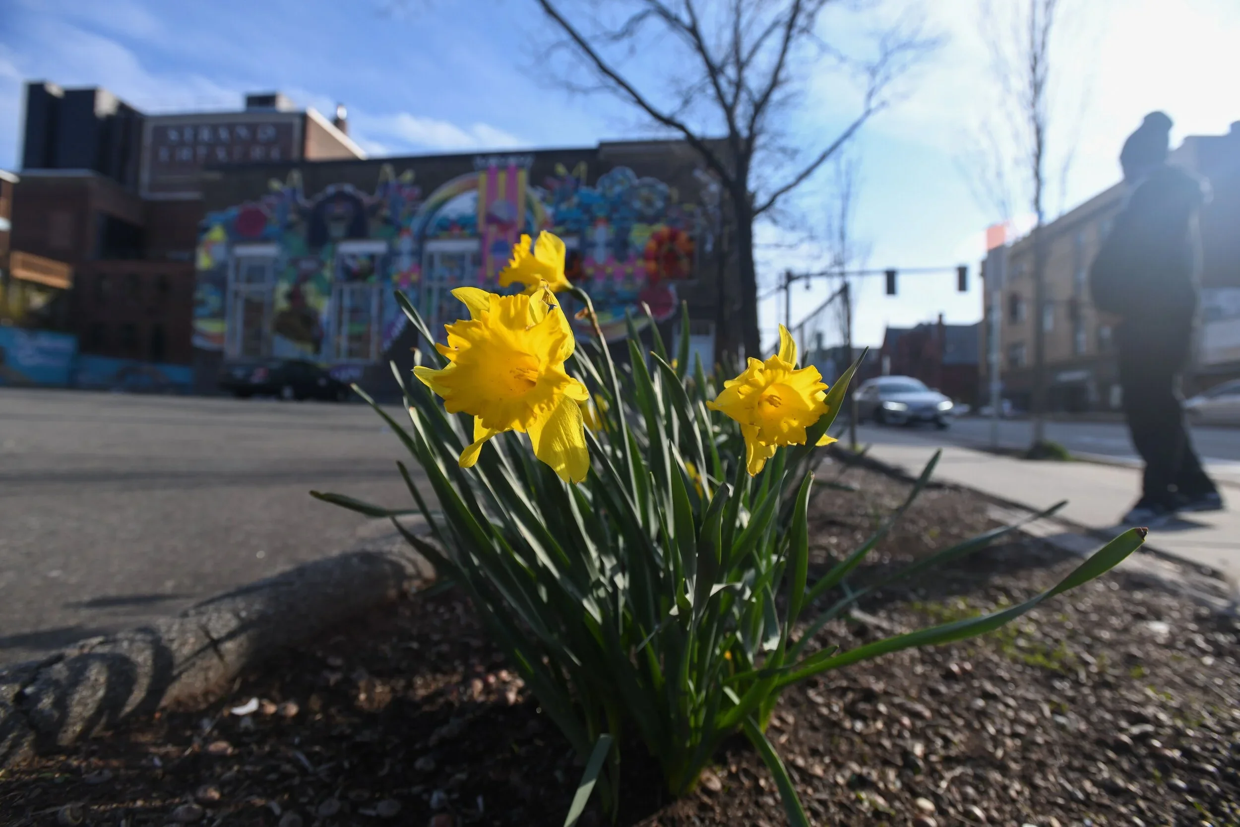 Little did we know: a curatorial theme takes on new meaning