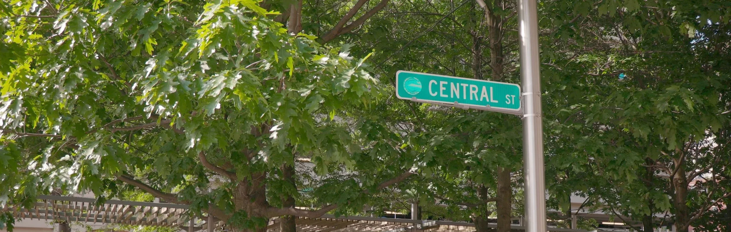 Announcing Oscar Tuazon + Growth Rings