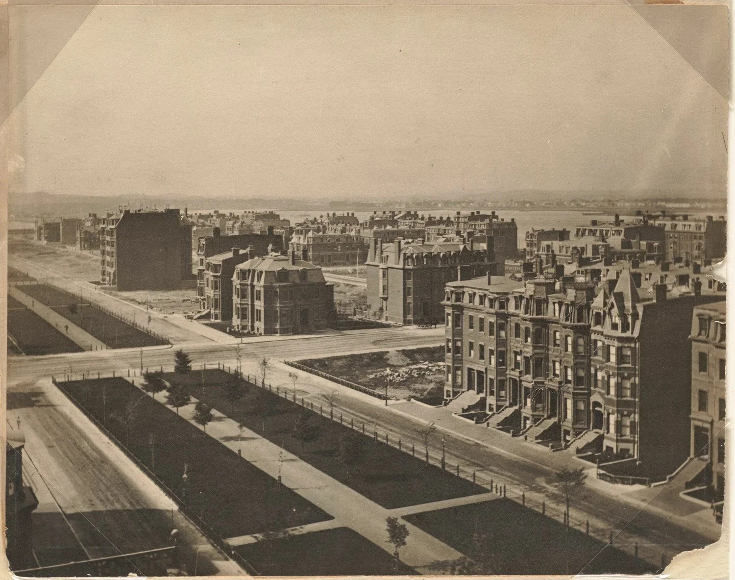 Commonwealth Avenue Mall, "Open House," and the History of Democratic Public Space