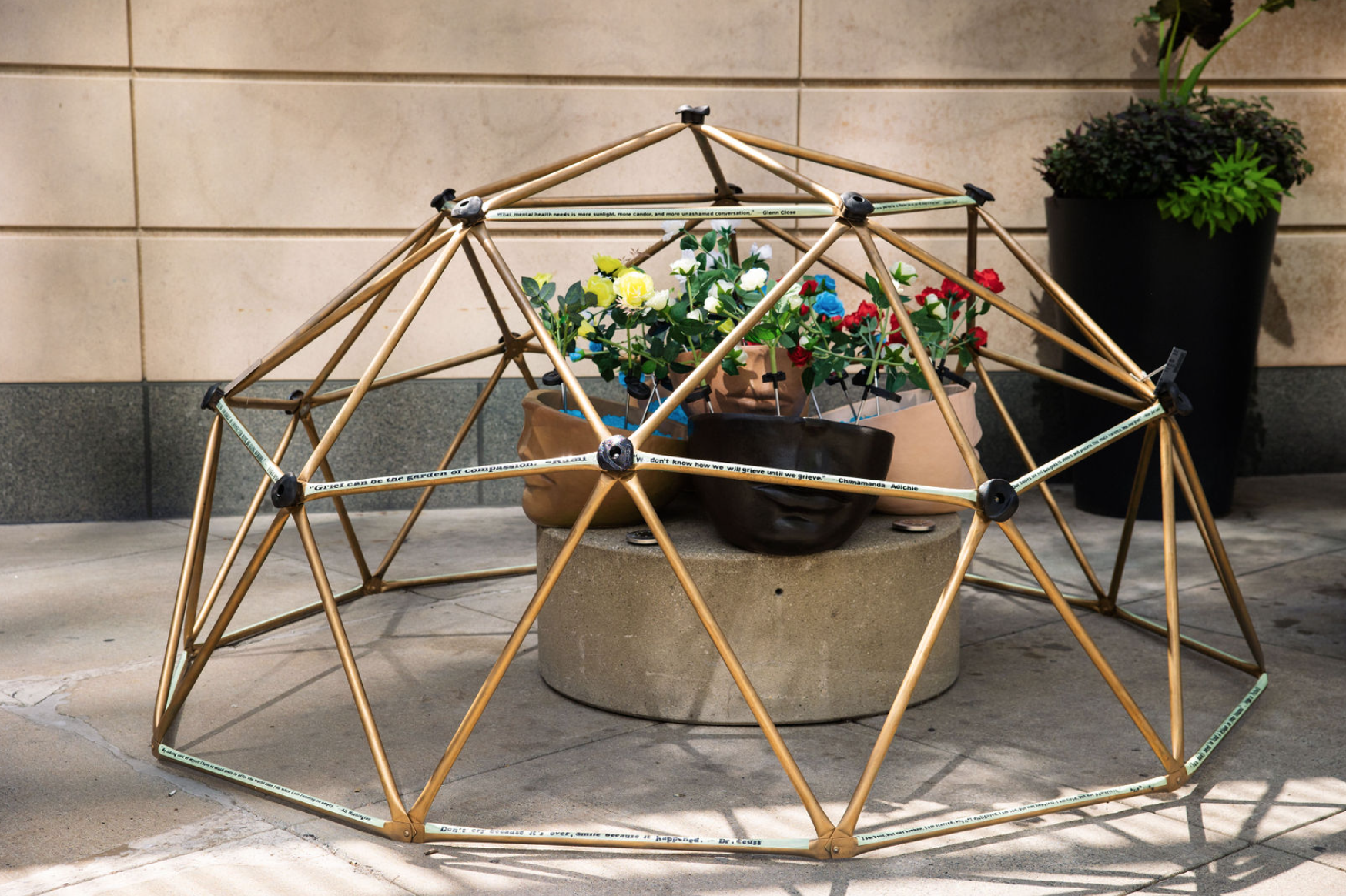 Healing Garden. Photo by Zev Fisher  .png