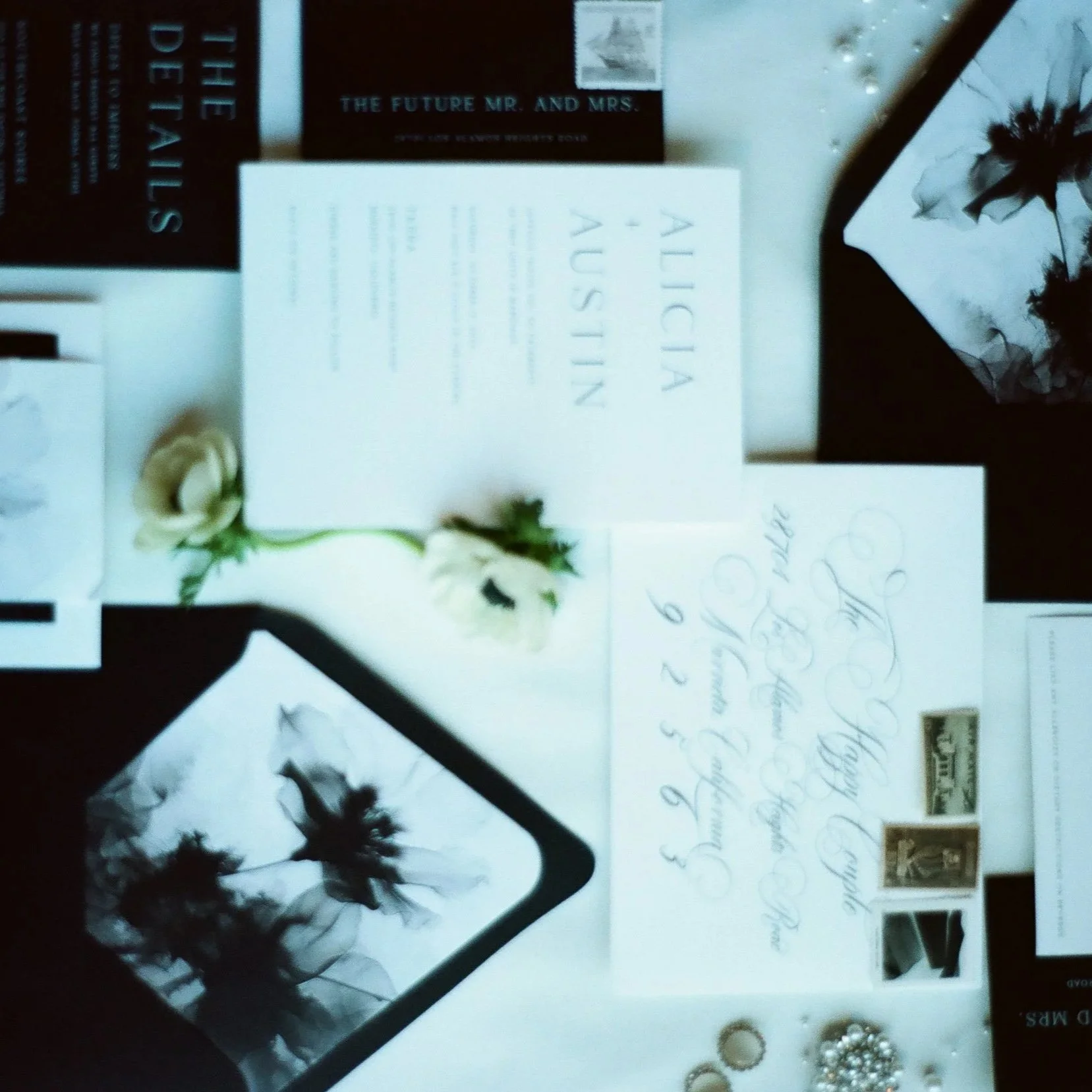 2024+Style+Shoot+-+FILM+%2829%29.jpg