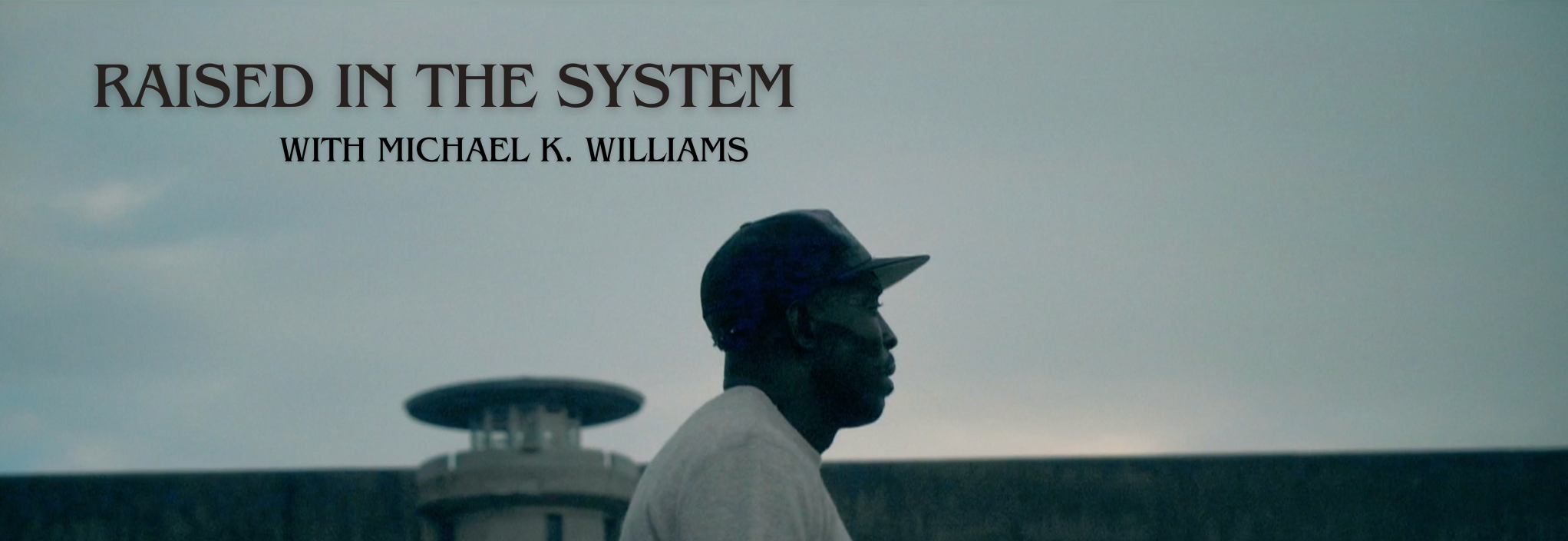 RAISED IN THE SYSTEM.png