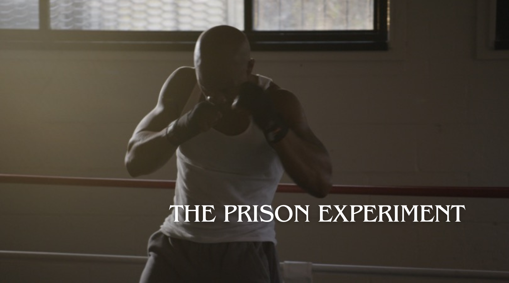 prison experiment banner.png