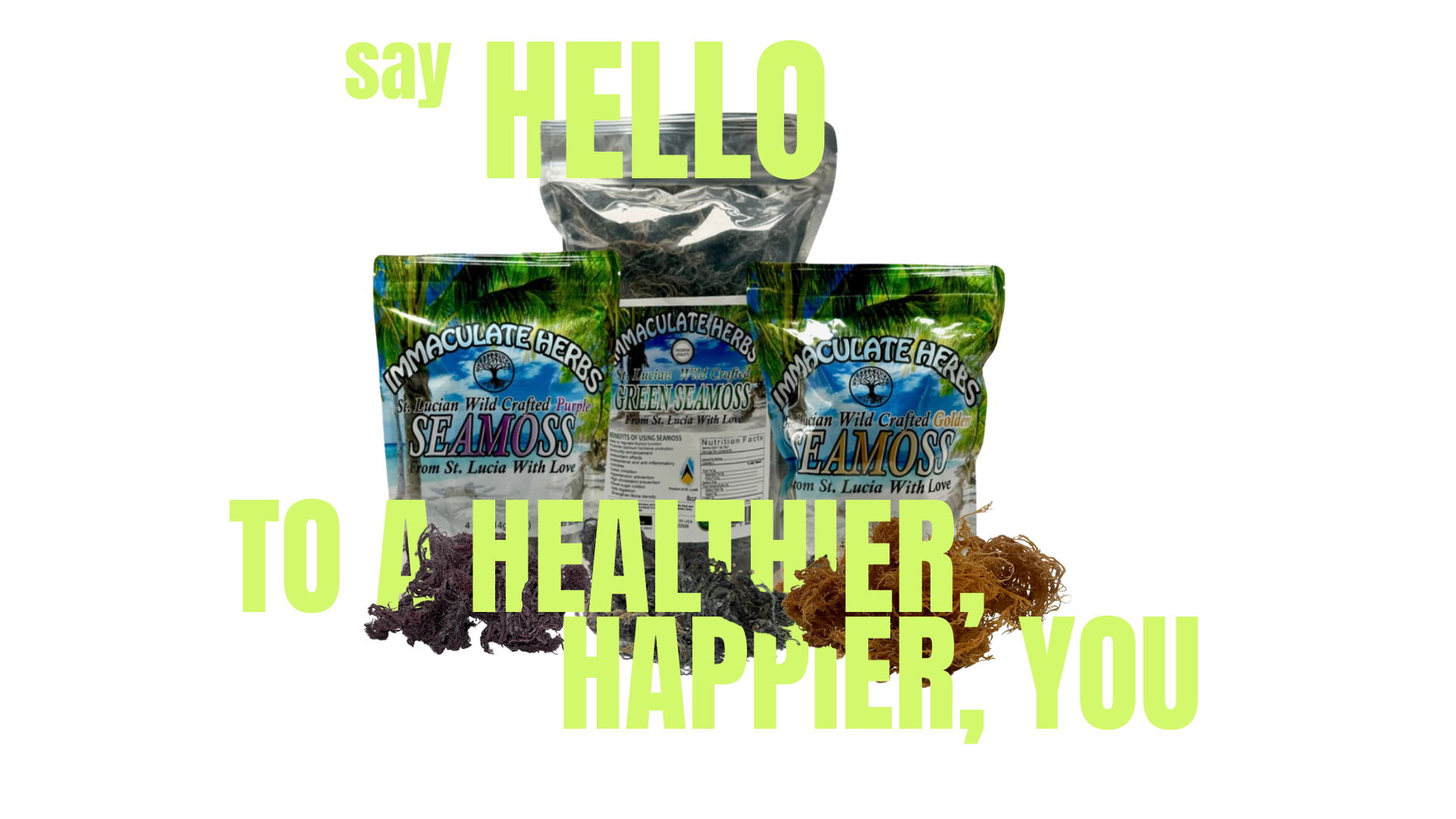 Immaculate Herbs sea moss bundles,  healthier happier you, st. Lucian purple sea moss,