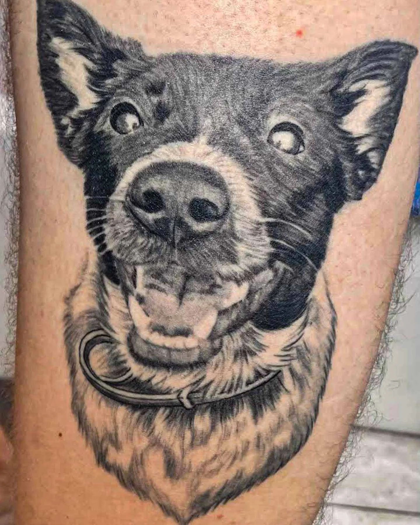 RichTattooFavoritesEdited-9.jpg