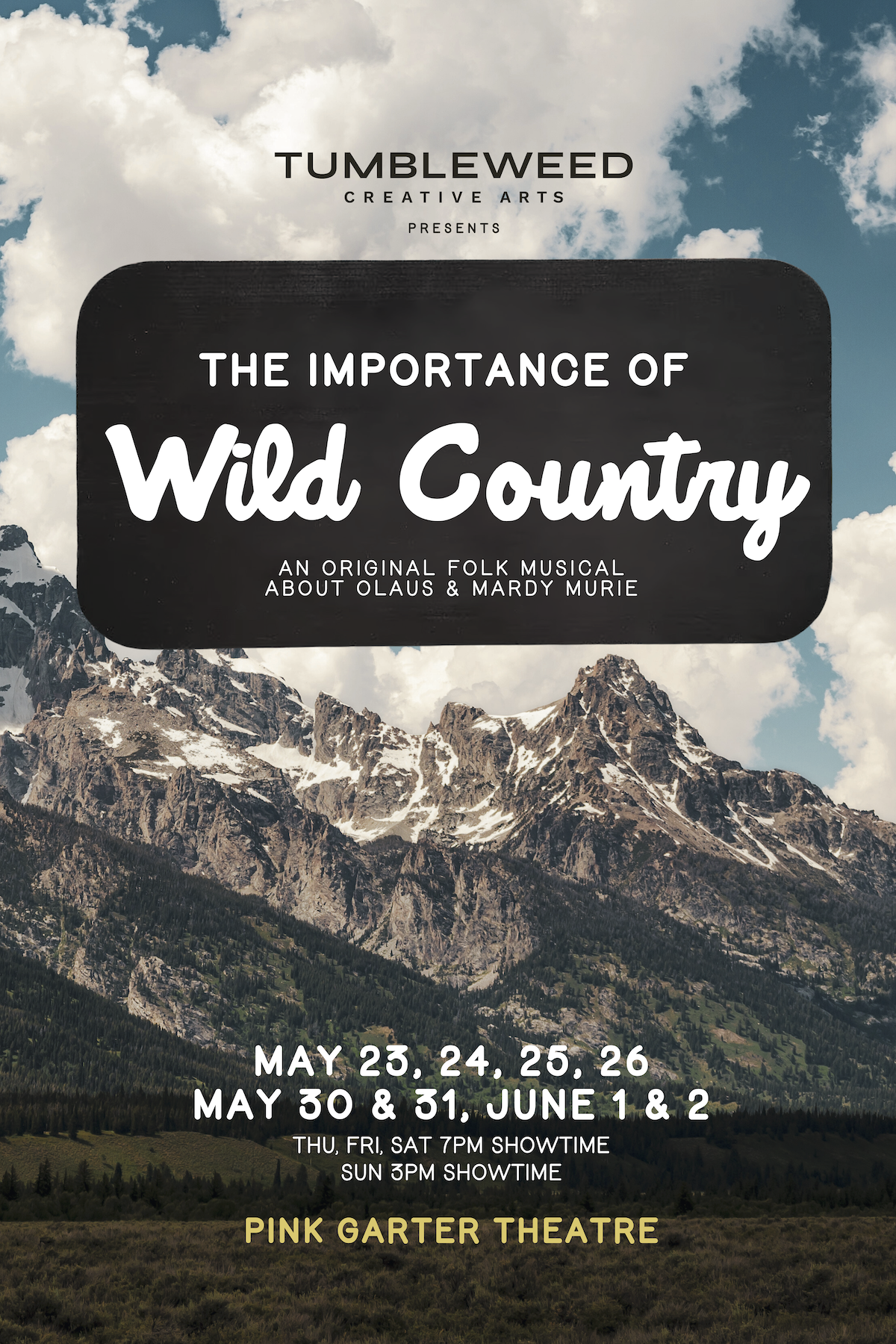 WEB Poster the importance of (24 x 36 in).png