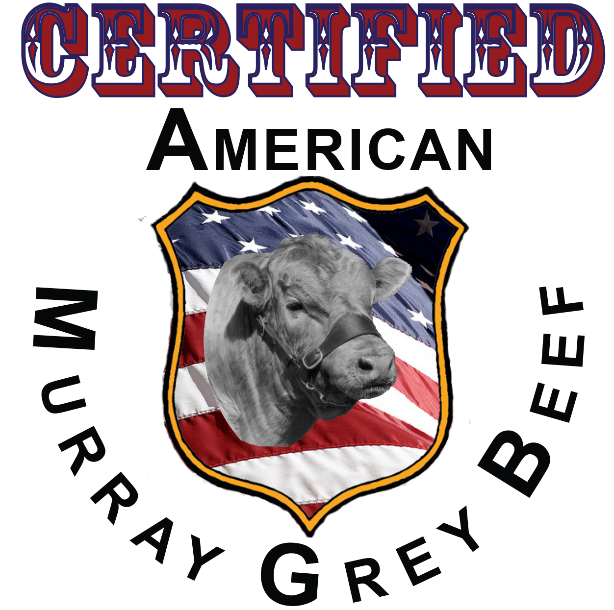 Murray Grey Beef — Quarter Circle Ranch