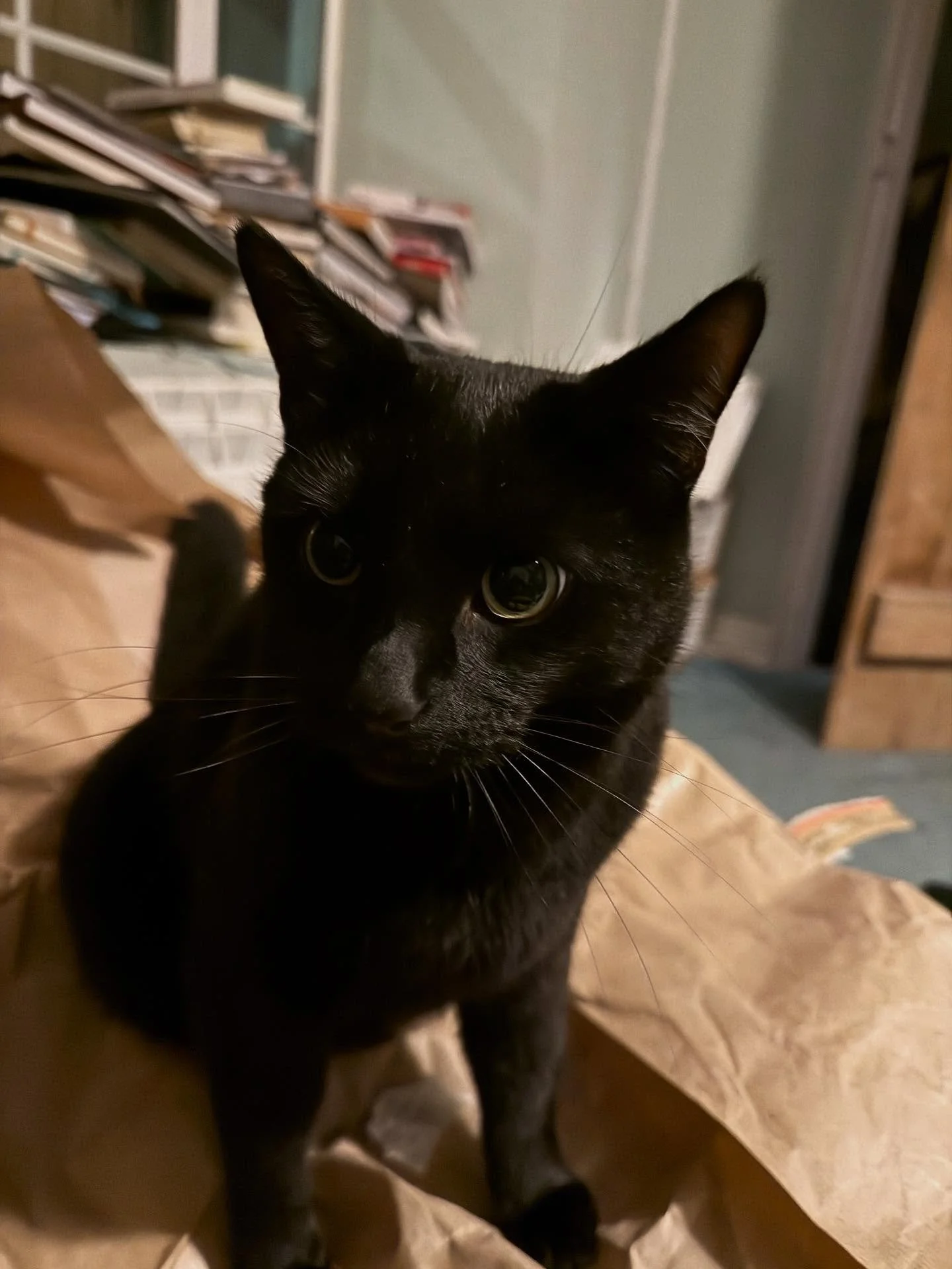 Wild eyes and paper destruction taking place tonight.