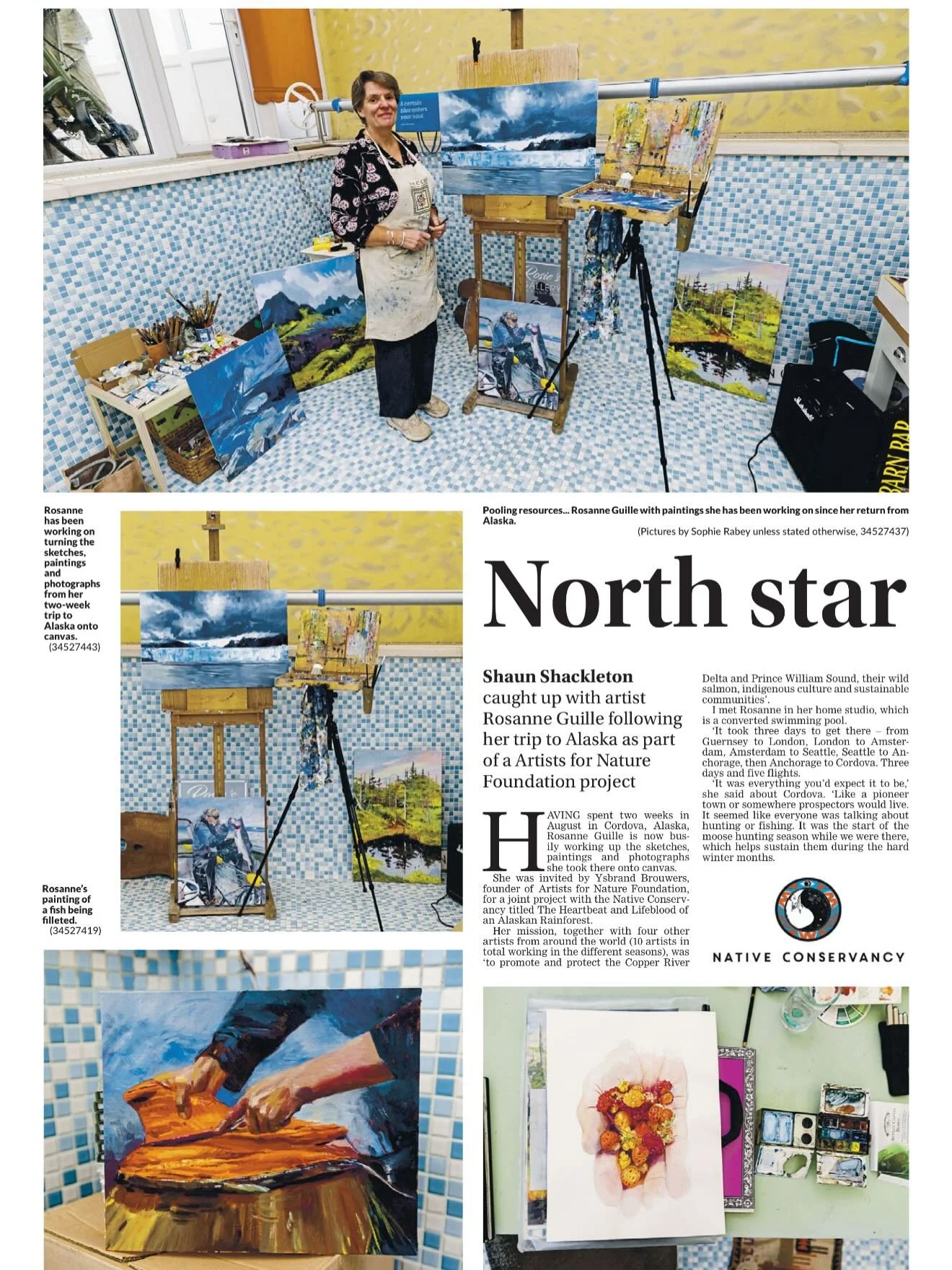 Great article in today&rsquo;s @guernseypress by Shaun Shackleton on @rosanne_guille_art &lsquo;s trip to Alaska with Artists for Nature. 🌿