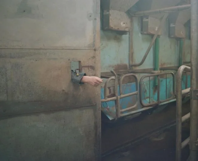 000026340009-copy-x540q80 (1).jpg