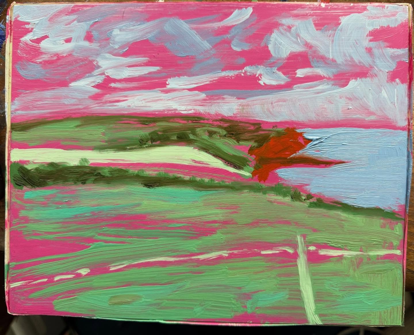 A couple more that I started last night. I&rsquo;ve always hated painting at night as I find it really hard to draw out the subtlety of colour (not that these are remotely subtle at this stage!). Having invested in a strong daylight lamp just after C