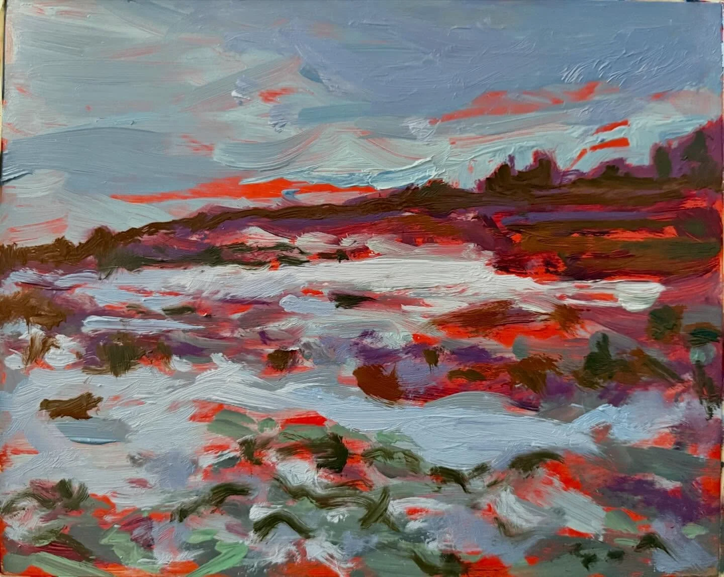 The causeway to Lihou. A stumbly slippy pathway of about 800metres in length which crosses from L&rsquo;Er&eacute;e headland on the west coast of Guernsey to the tiny island which is only accessible for a few hours during low tide. It&rsquo;s a wildl