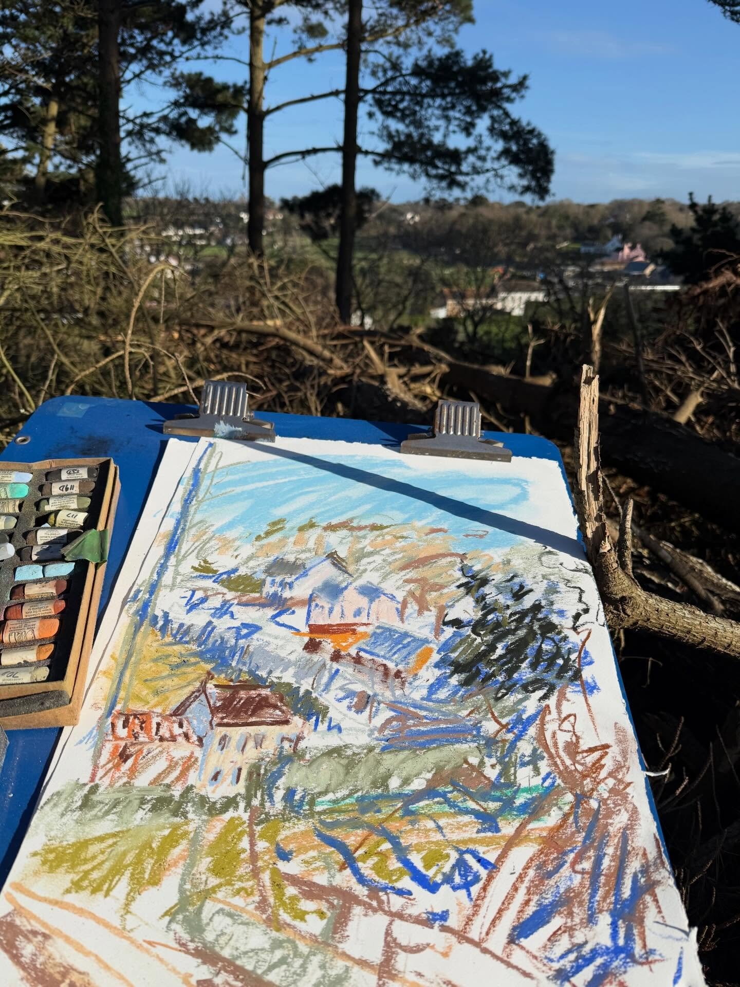 Out and about in the sun with a very odd selection of colours which is both annoying and now quite intriguing. Often accidents are vastly more interesting than purposeful and well planned! 🤔