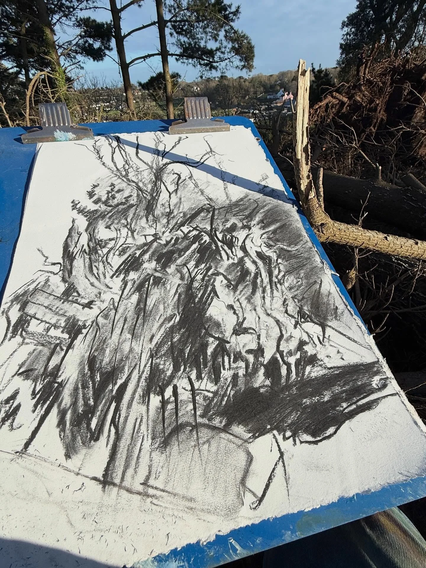 This is a pretty grotty drawing, but making it felt right. Drawing these pitiful savagely upended trees with their vulnerable exposed gnarly roots and the velvety inky darkness of their stump voids has thrown my mind into all sorts of strange visual 