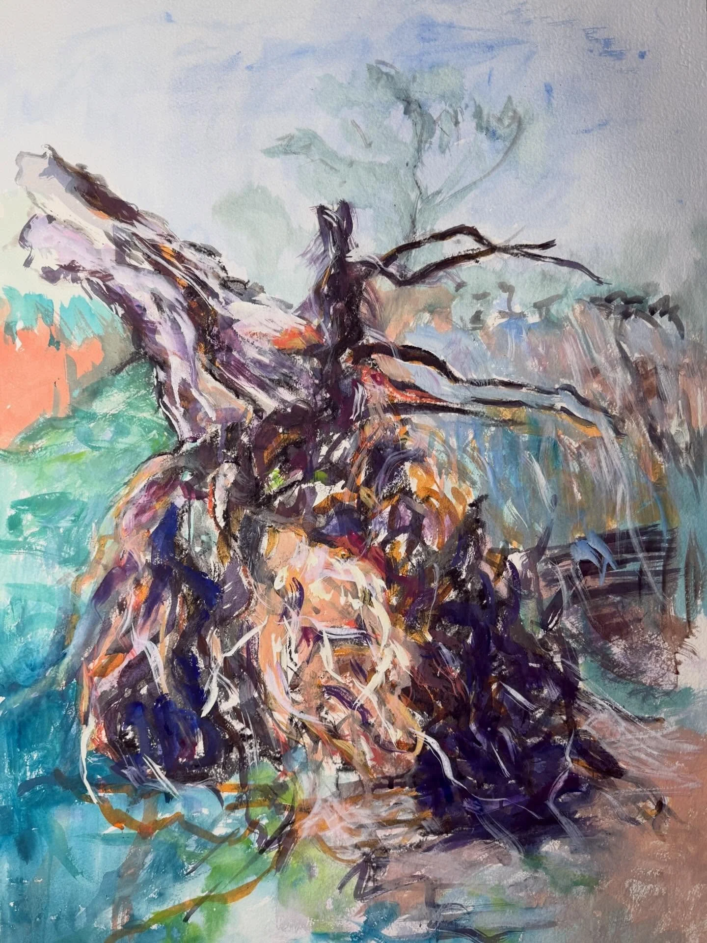 My charcoal didn&rsquo;t like this lovely paper, so this drawing of a fallen pine mutated into a rather over-complicated gouache. Maybe salvageable. Maybe not.