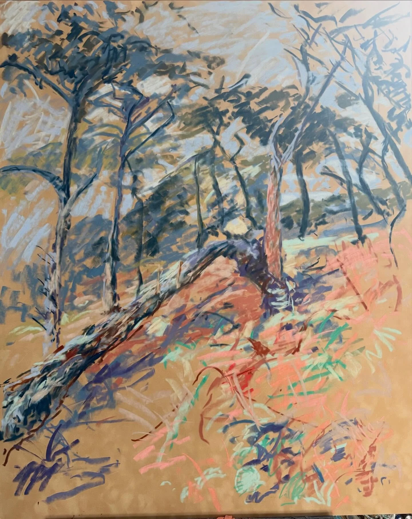 Large drawing taken from weekend sketches. And reading the Guernsey Press today, there was a picture of the Guet taken 100 odd years ago before the Monterey Pines were planted (along with a particularly odious letters from one of the many usual conse