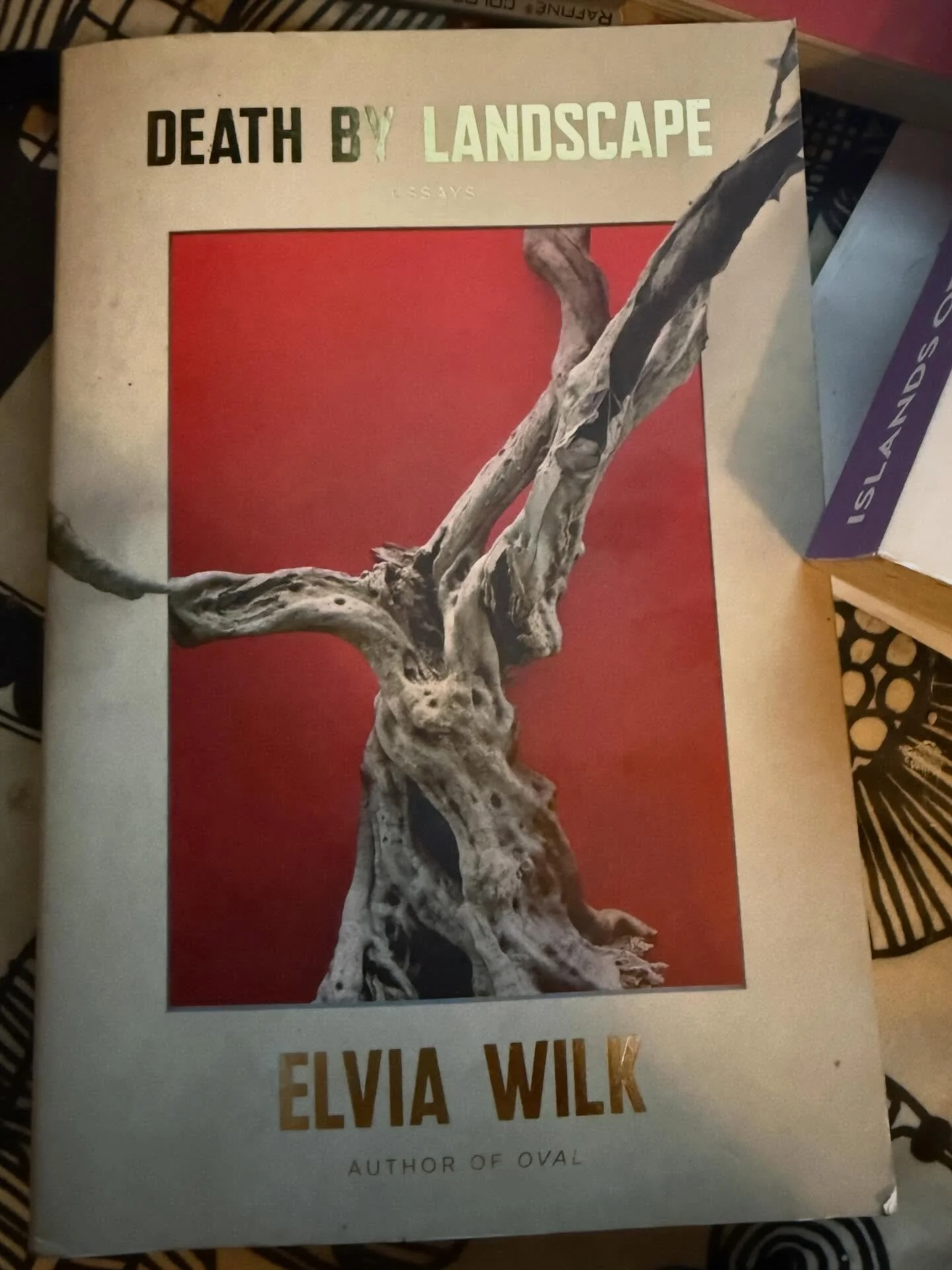 Another fascinating read.