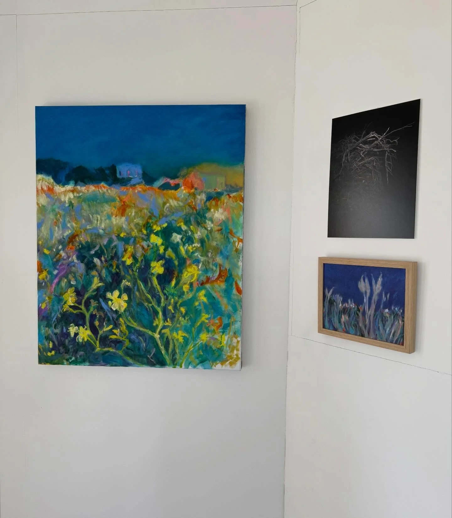 A new blog post: some reflections on Hinterlands exhibition a week after the private view. https://www.fionarichmond.uk/blog-1-1 (Link in bio)