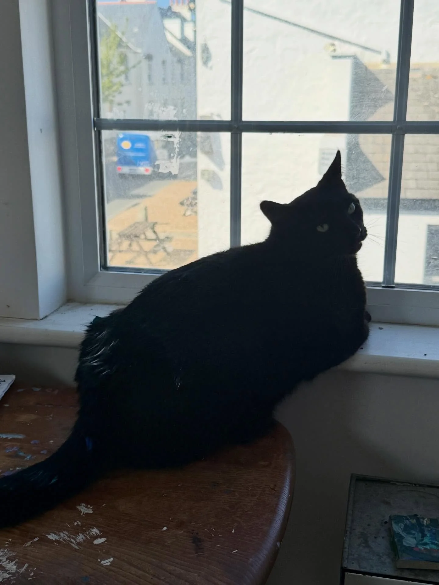 I&rsquo;m feeling very guilty because I left my paper palette under my chair in the studio and someone lying in the sun under the skylight must have rolled into it. Thankfully it&rsquo;s not cadmiums or other toxic colours.