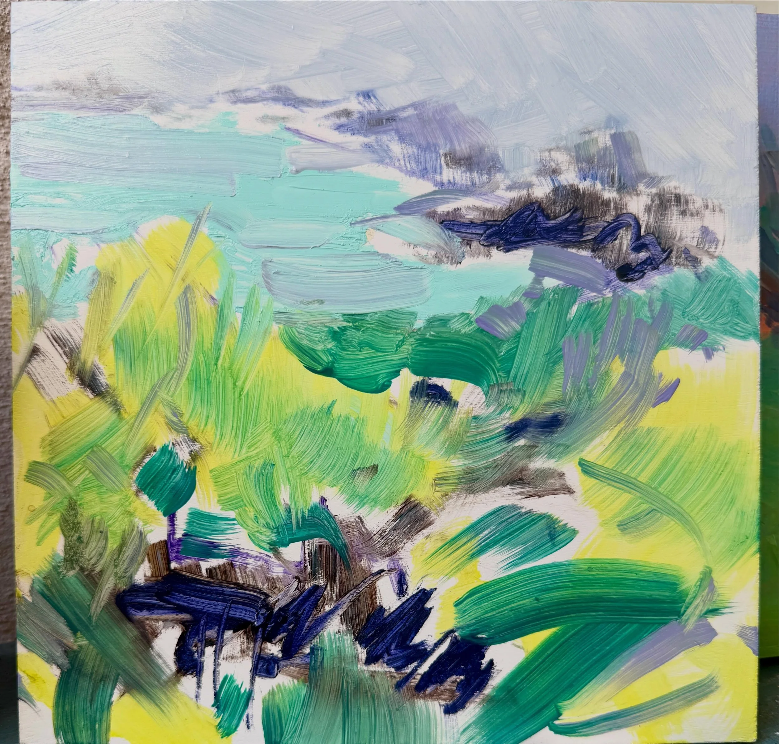A week of extreme heat, swims, too much work and very little painting time. 1. Study of Port Soif Bay from above. 2. Someone&rsquo;s beautiful limpet assemblage on Port Soif last night when I swam at 6 on the high tide after a hectic day. 3 water tro