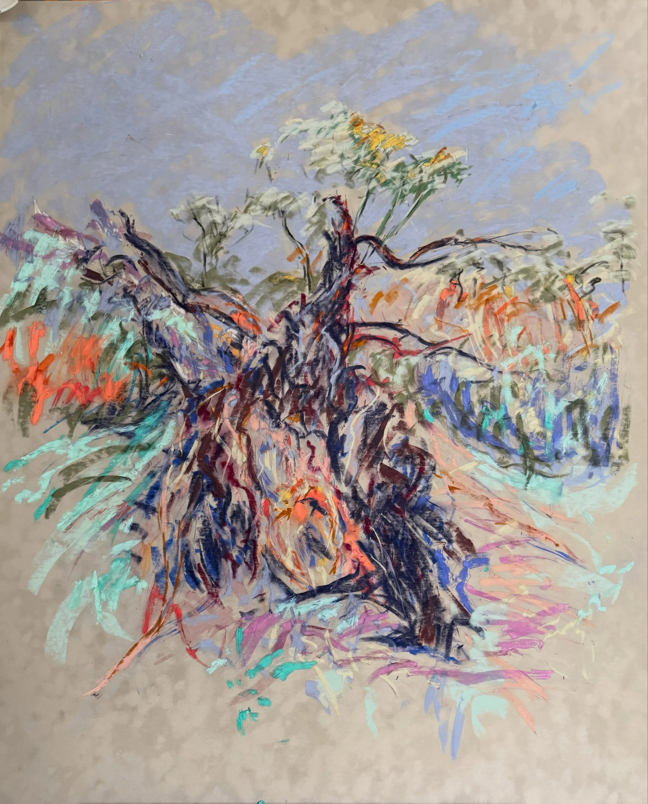 I&rsquo;m having a studio clear out this weekend as there is no room in my studio to paint at the moment. These drawings and small paintings are all available at reasonable prices at the Rectory in St Peter&rsquo;s today between 10am and 4pm. 

It&rs