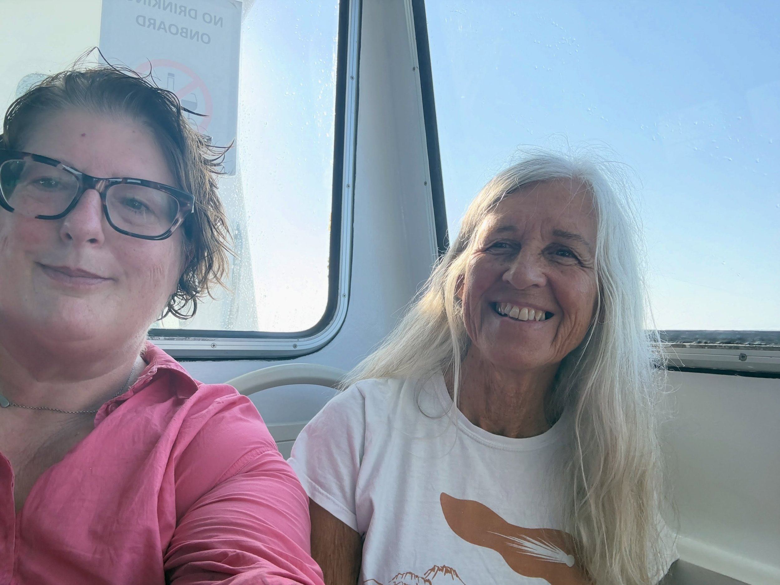 Sark where time slows down, nature is incredible (even in the terrifying heat and drought of this summer) and the people are so friendly and kind. @cynthiaharrisonorr and I had a wonderful day cycling and sketching. A delicious hour or two eating at 