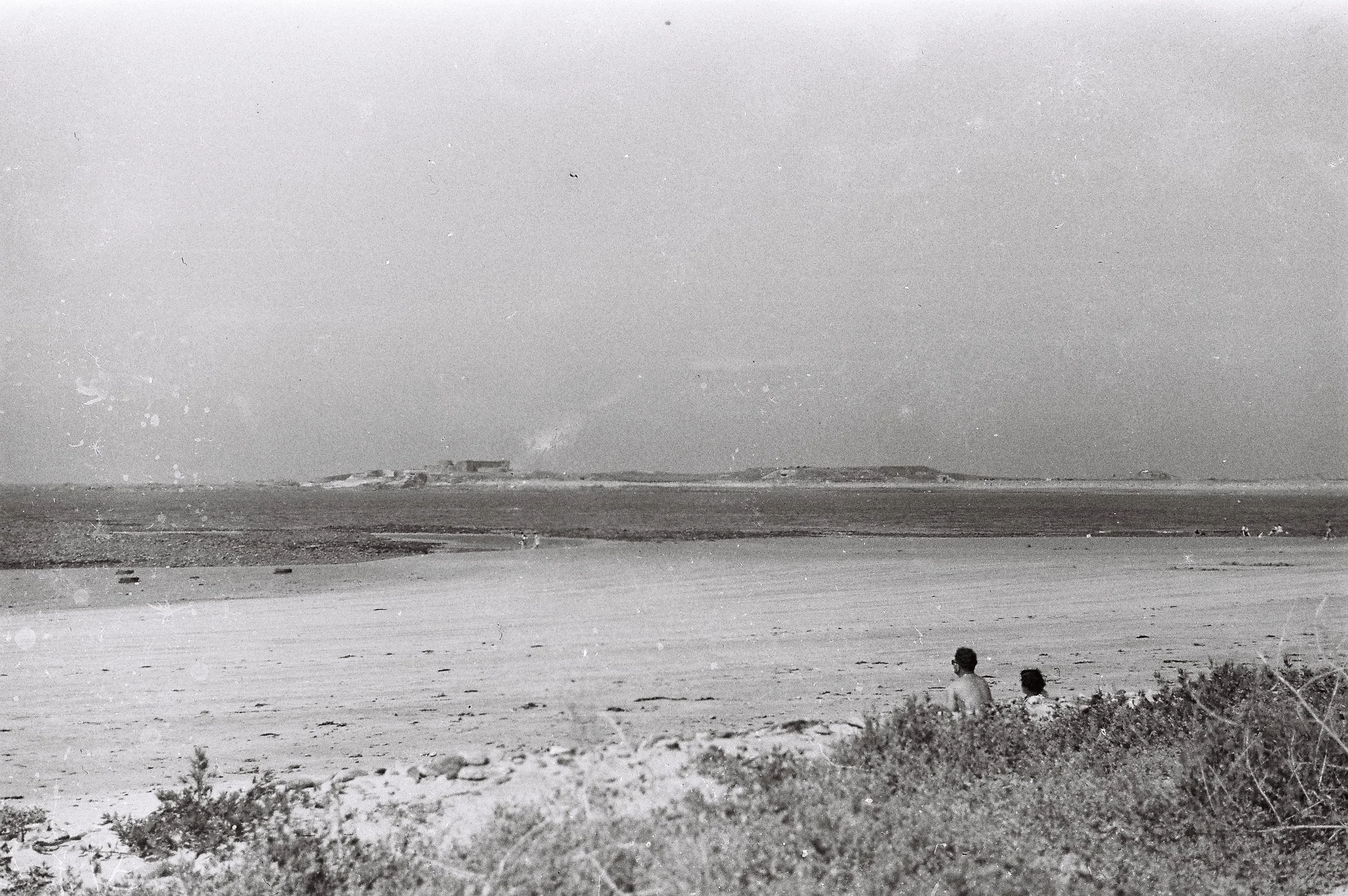 A04419_012.jpg