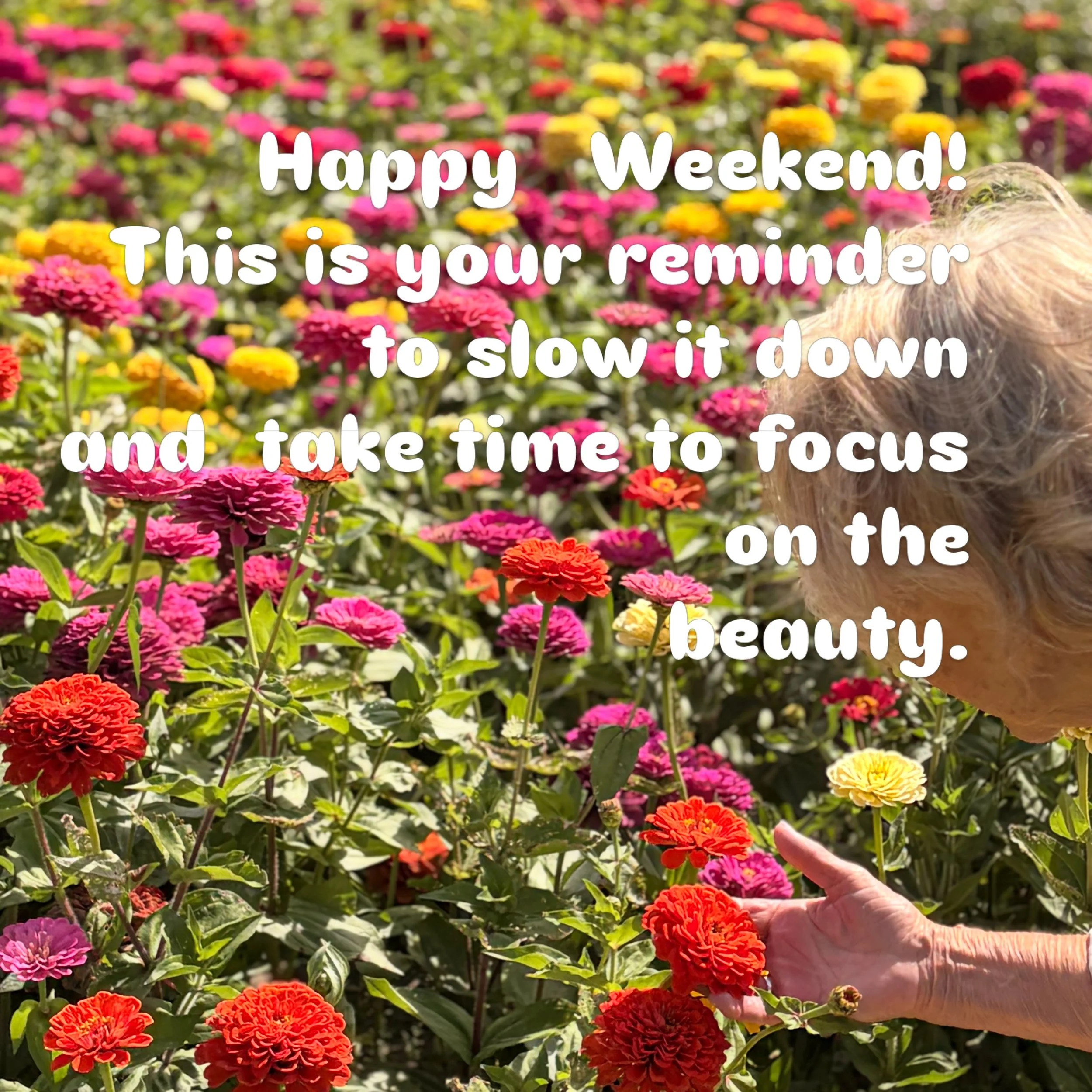 Brief moments of focus, even just 30 seconds, resets your brain, increases focus, reduces stress, and increases concentration.  This is your reminder to take a pause and build restoration into your day everyday.