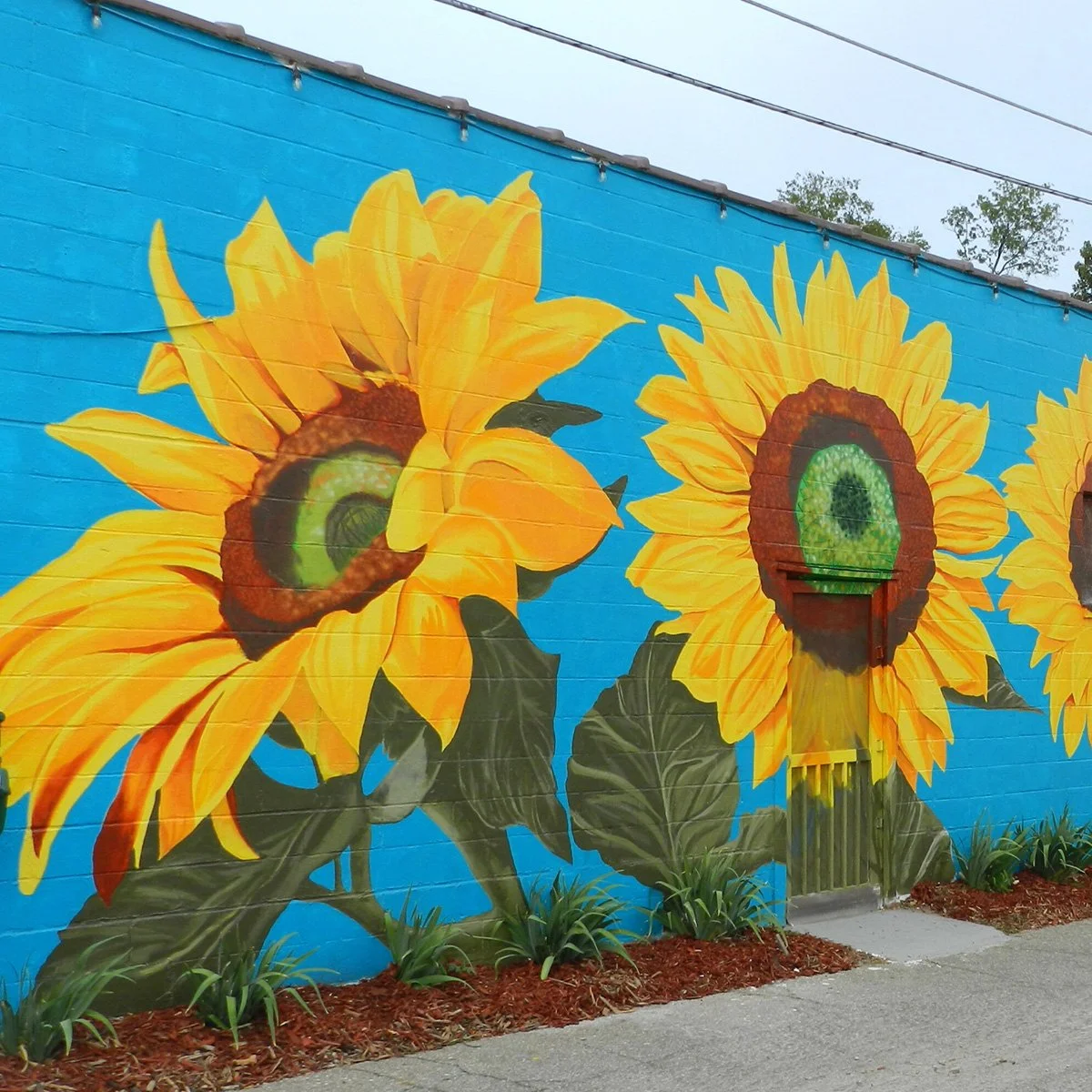 Sunflower Mural