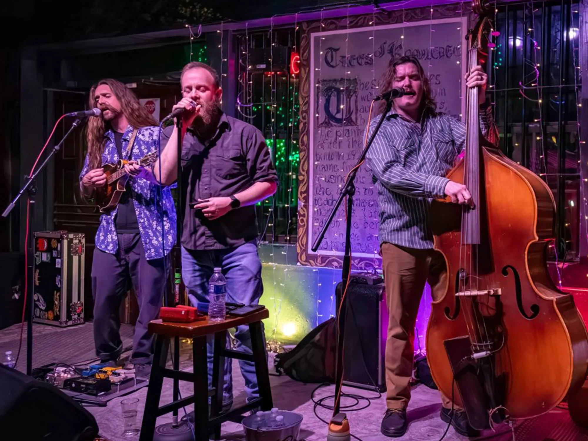Three musicians performing on stage with microphones and instruments, including a mandolin, a microphone, and a double bass, with colorful stage lights and a decorative background.