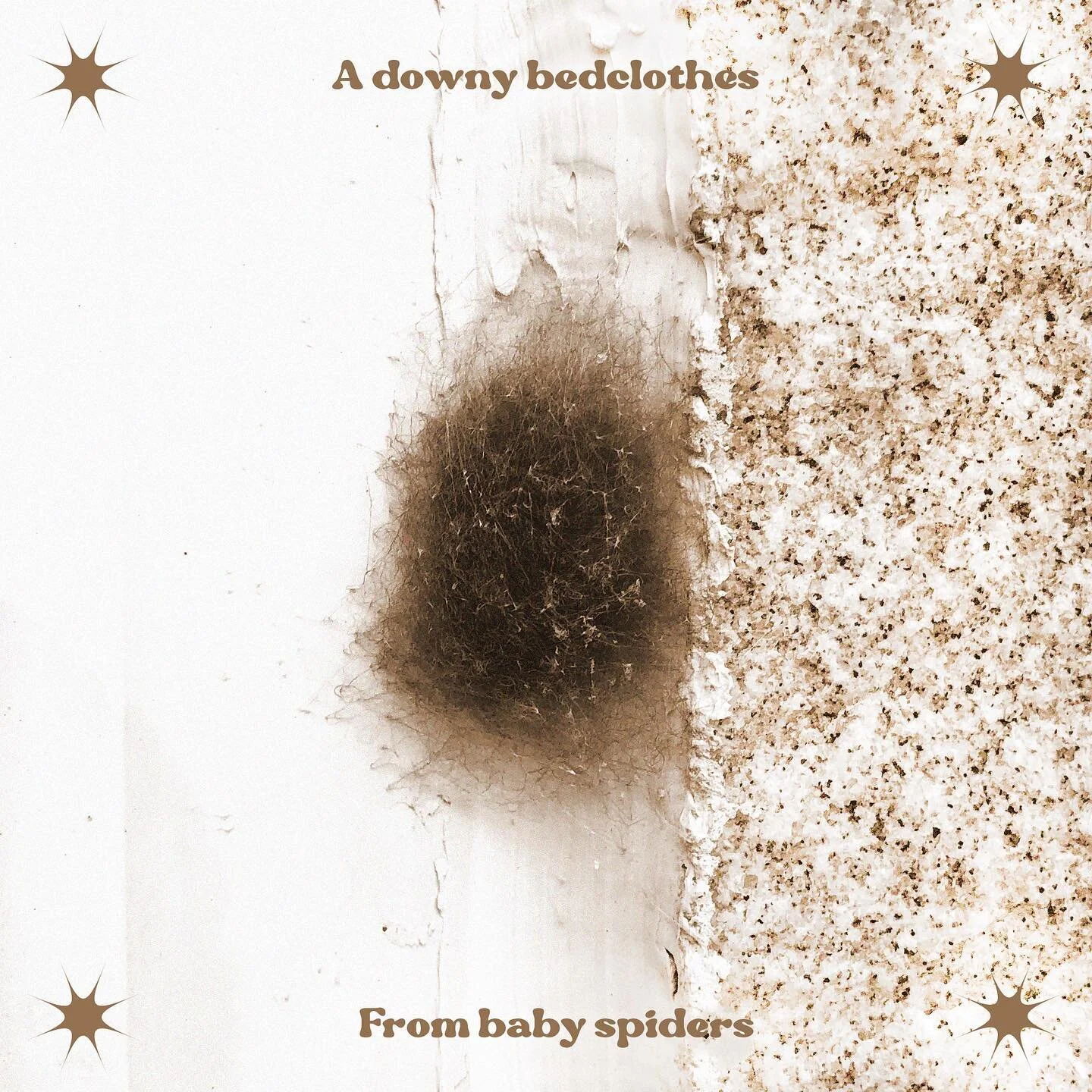 The 10th of September, 2021
🕷
A downy bedclothes
🕸
iPhone 8+, Ps
#LM100921