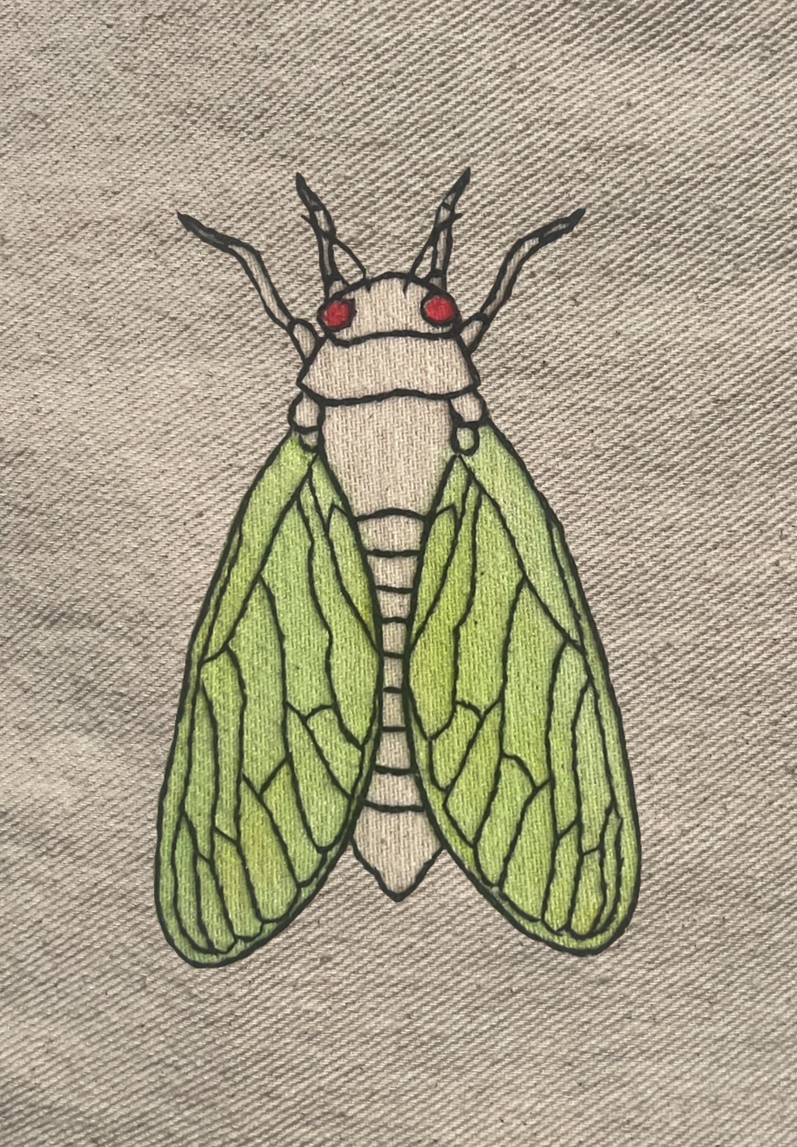Cicada