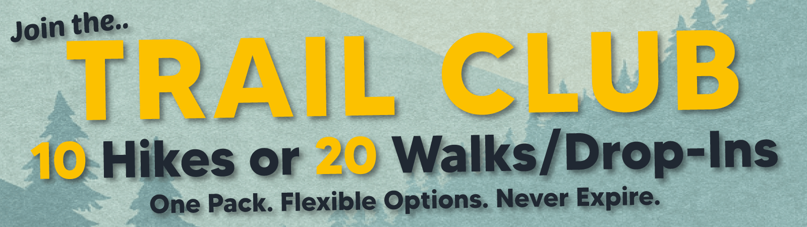 Dog hiking, dog walking, and drop-in visit packages in Evergreen and Conifer Colorado.