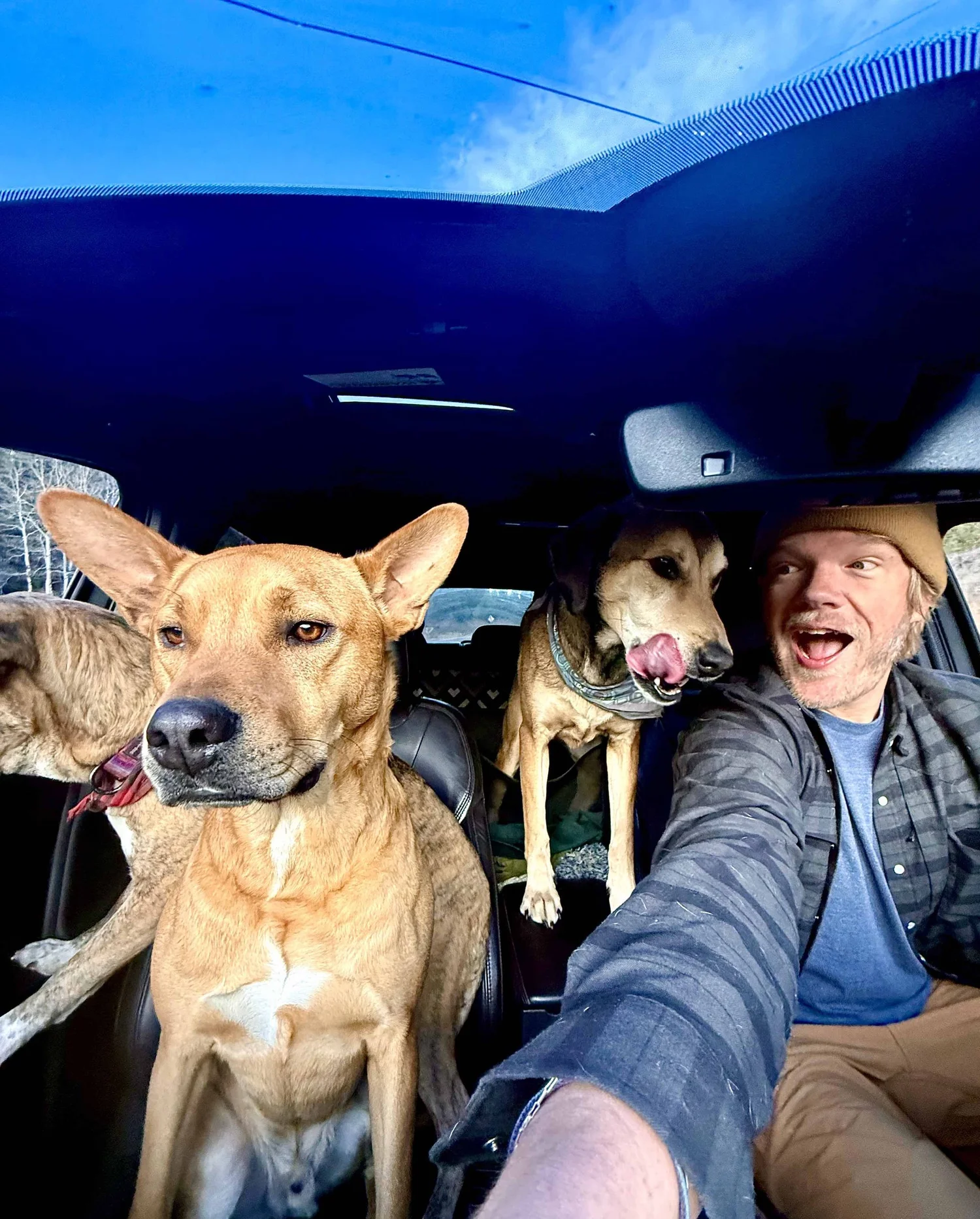 Casey with Hi Country Hounds dogs